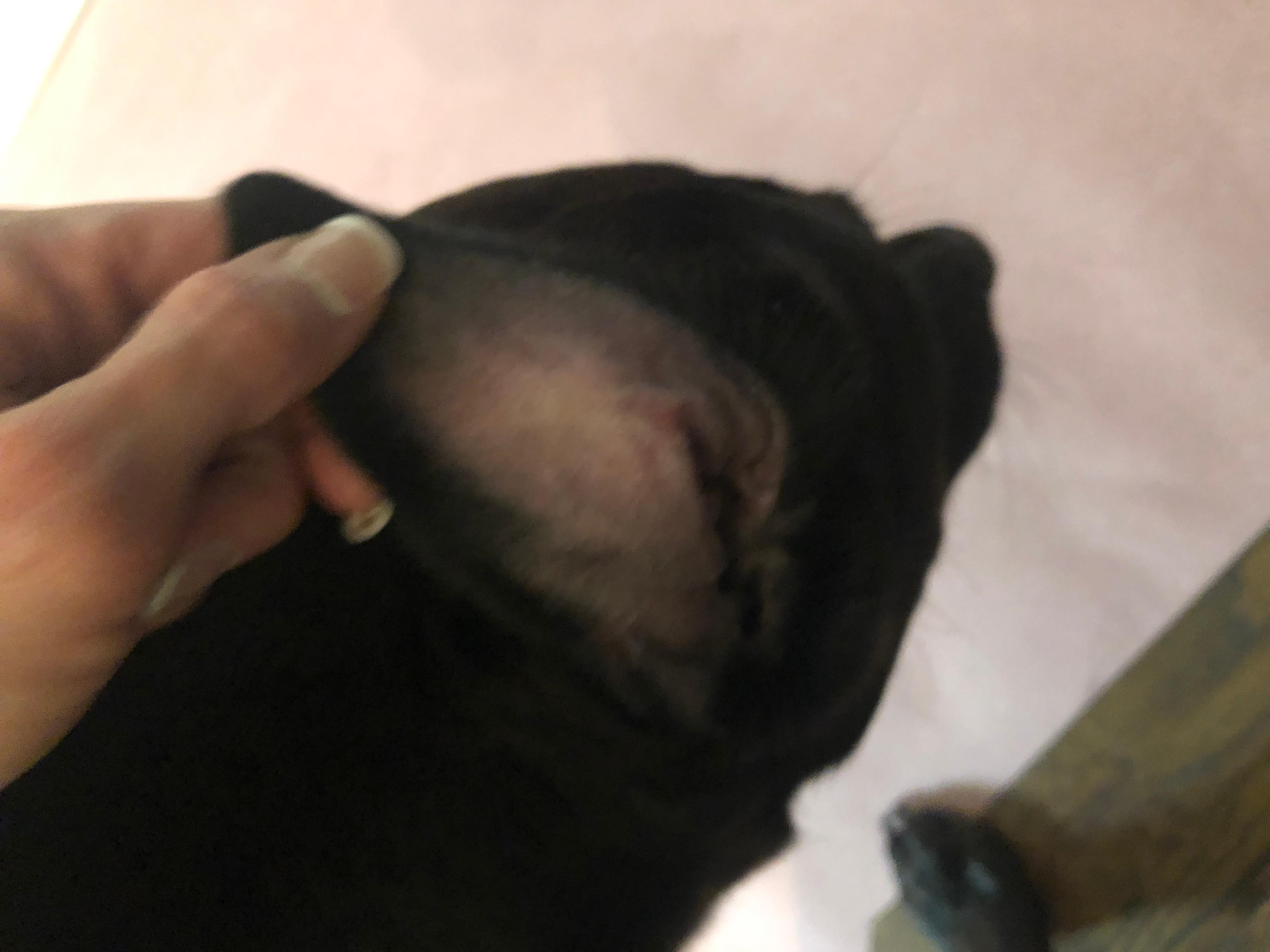 Question details sensitive content