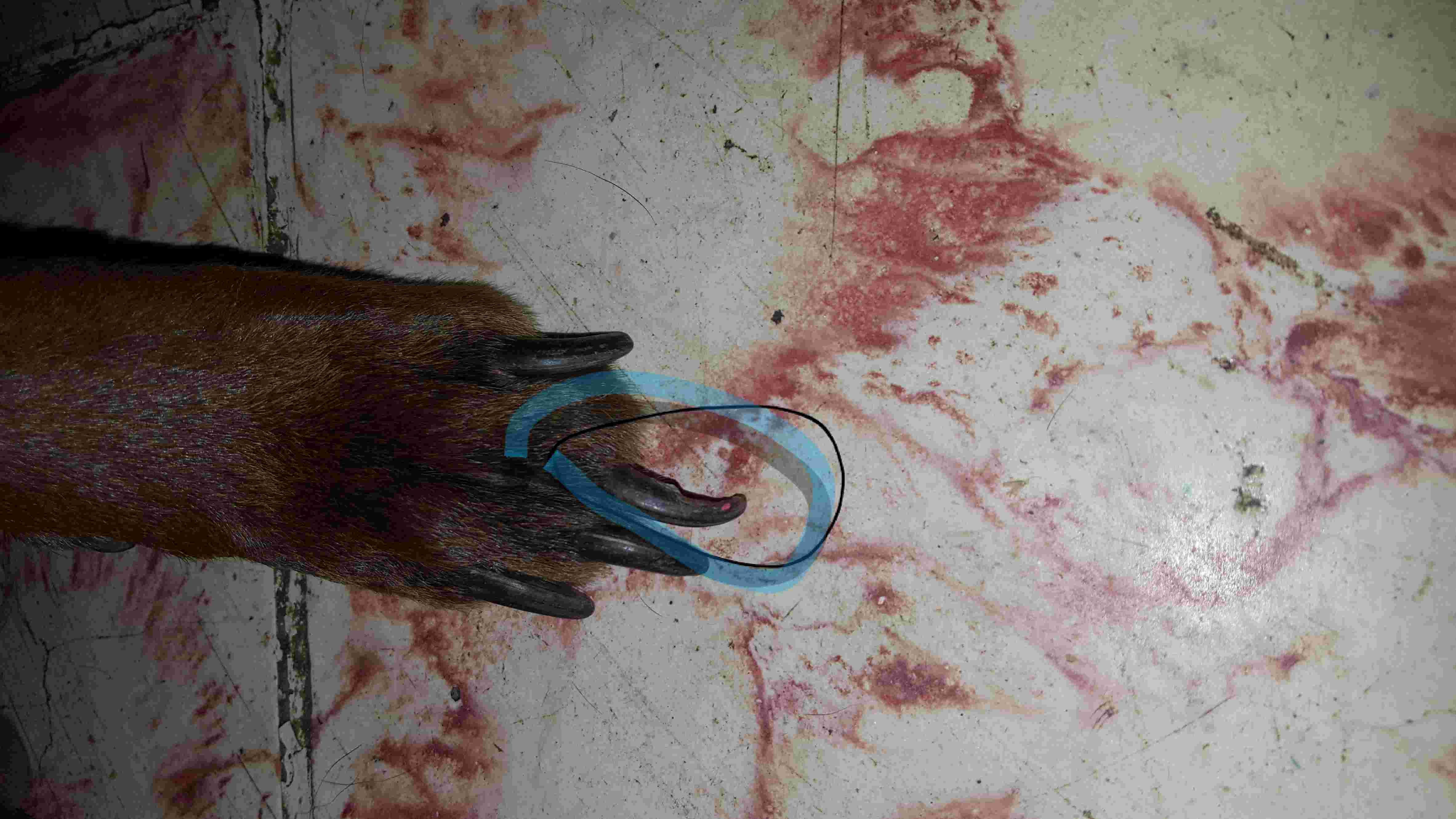 Question details sensitive content