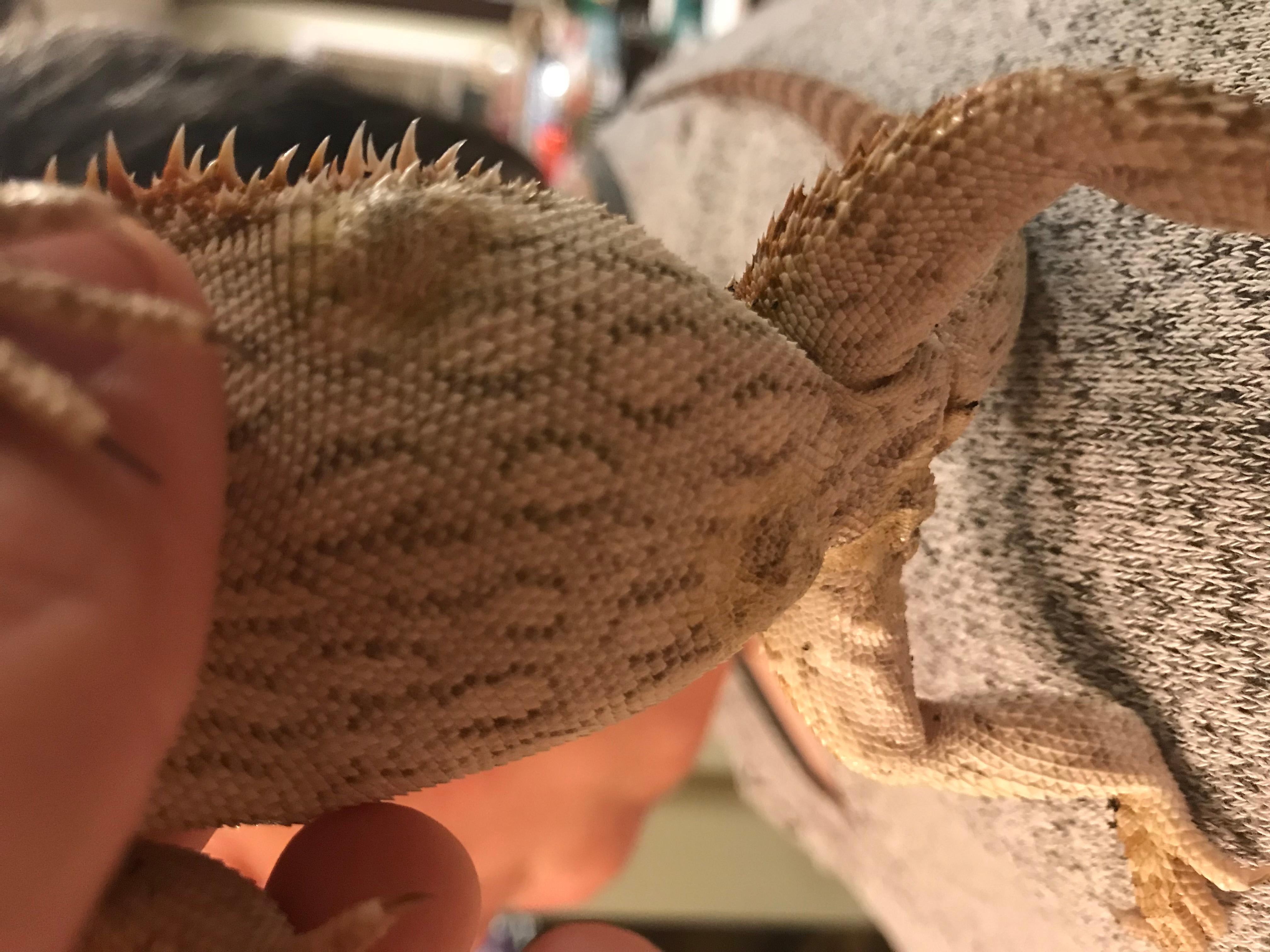 Question details sensitive content