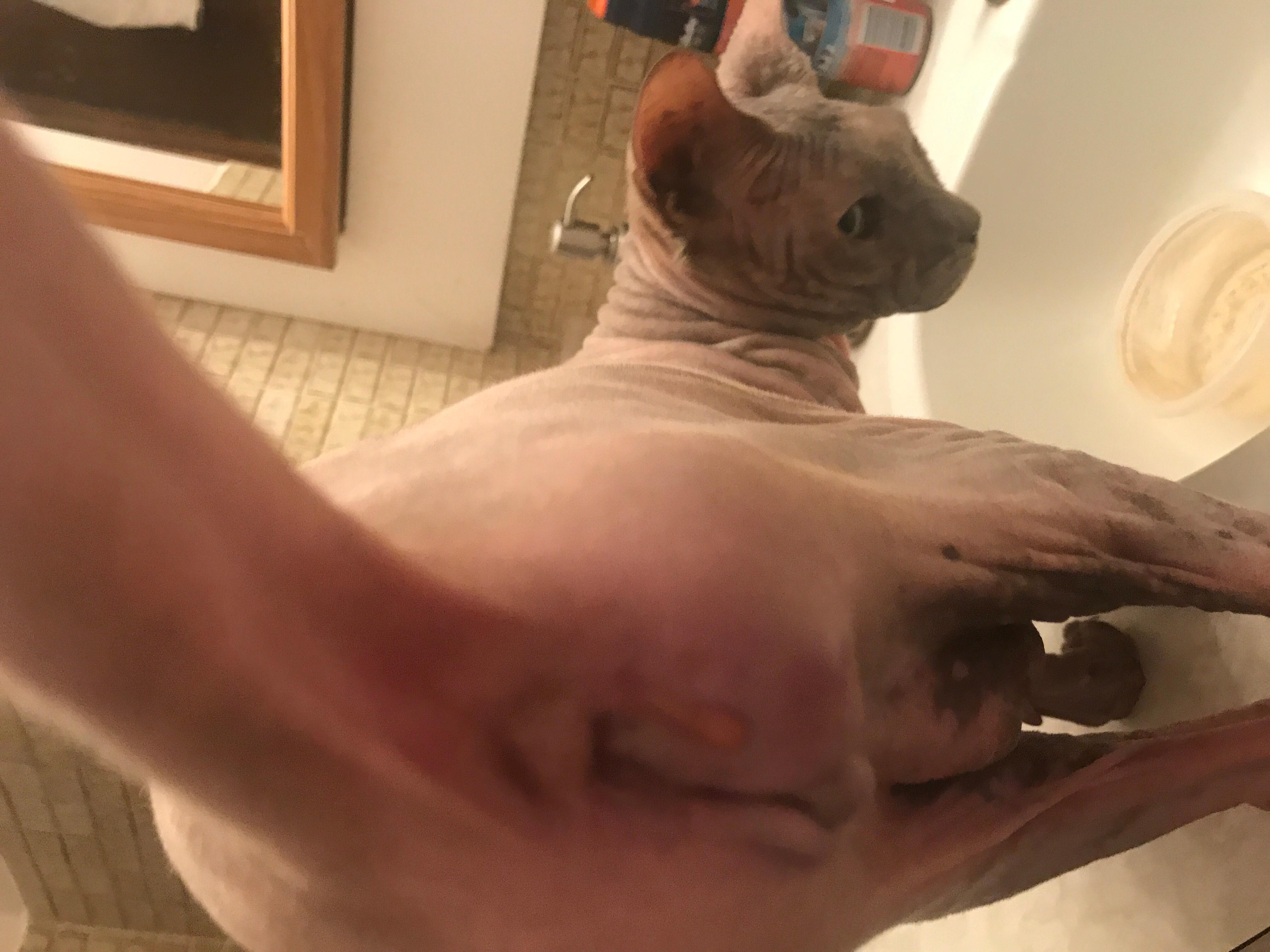 Question details sensitive content