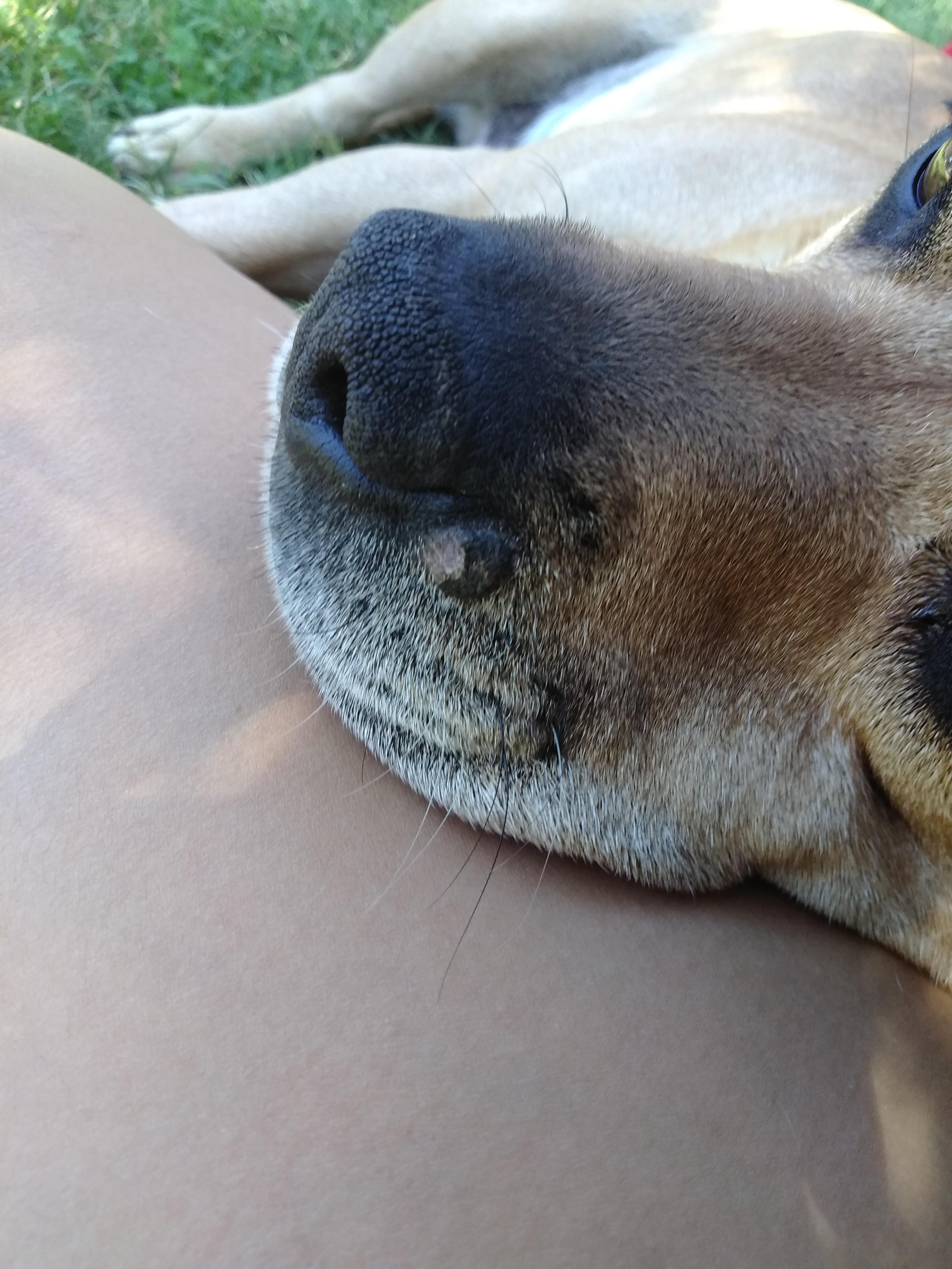 Question details sensitive content