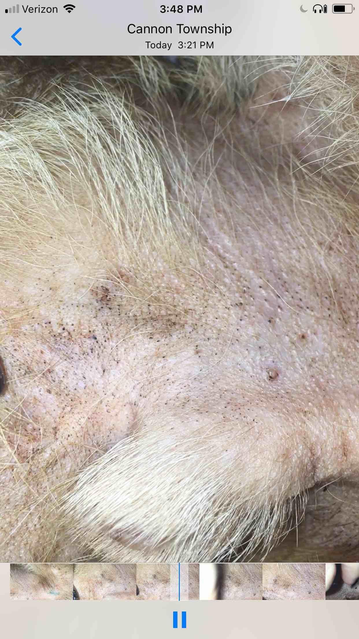 Question details sensitive content