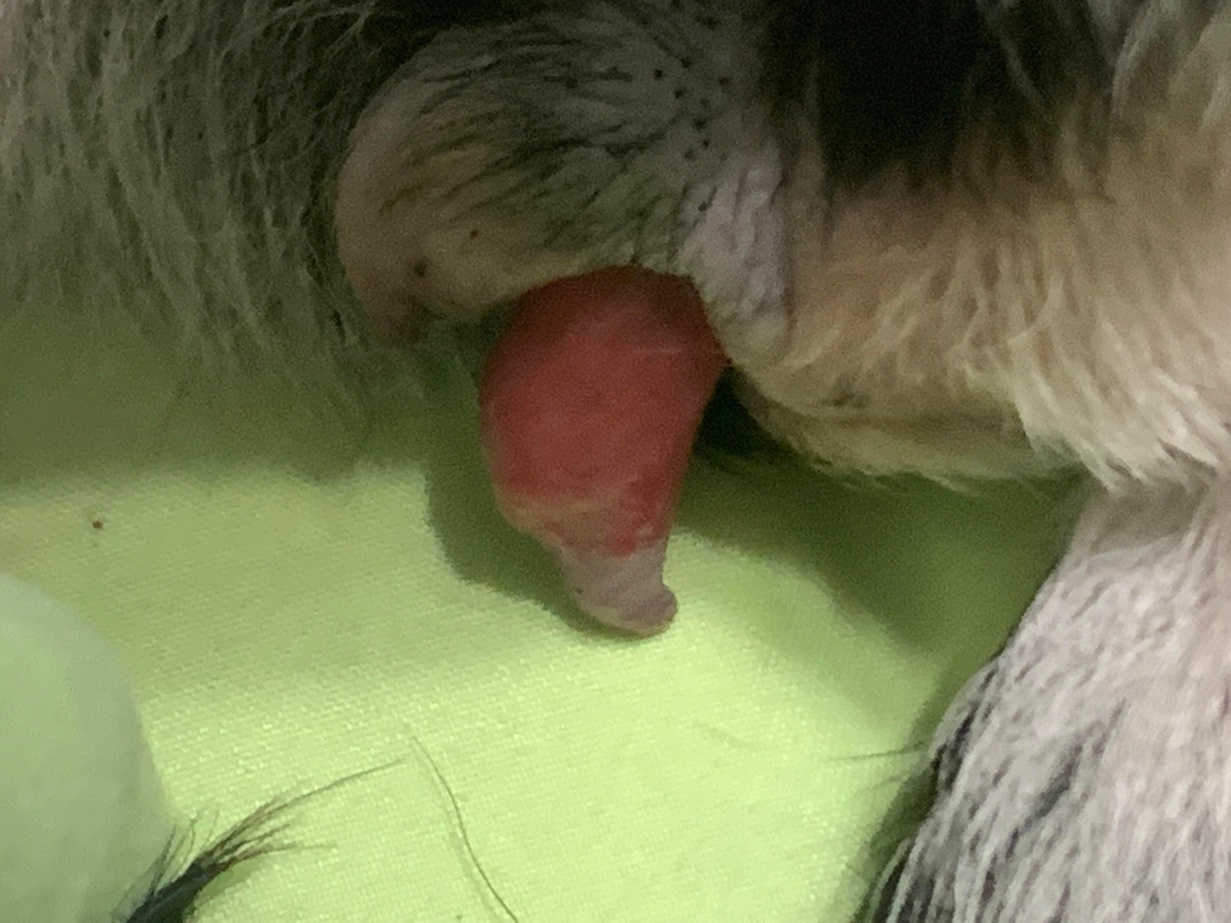 Question details sensitive content