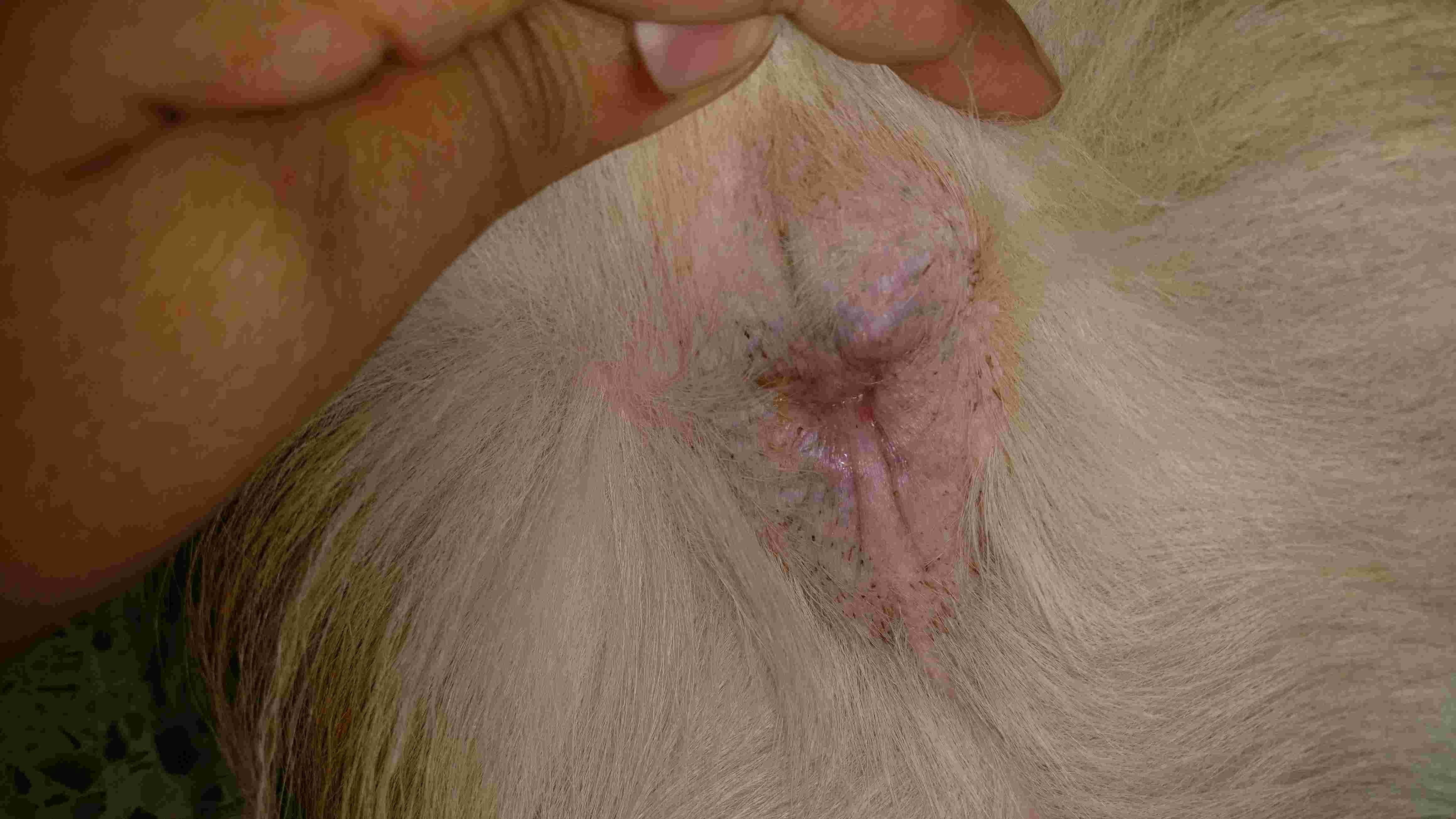 Question details sensitive content