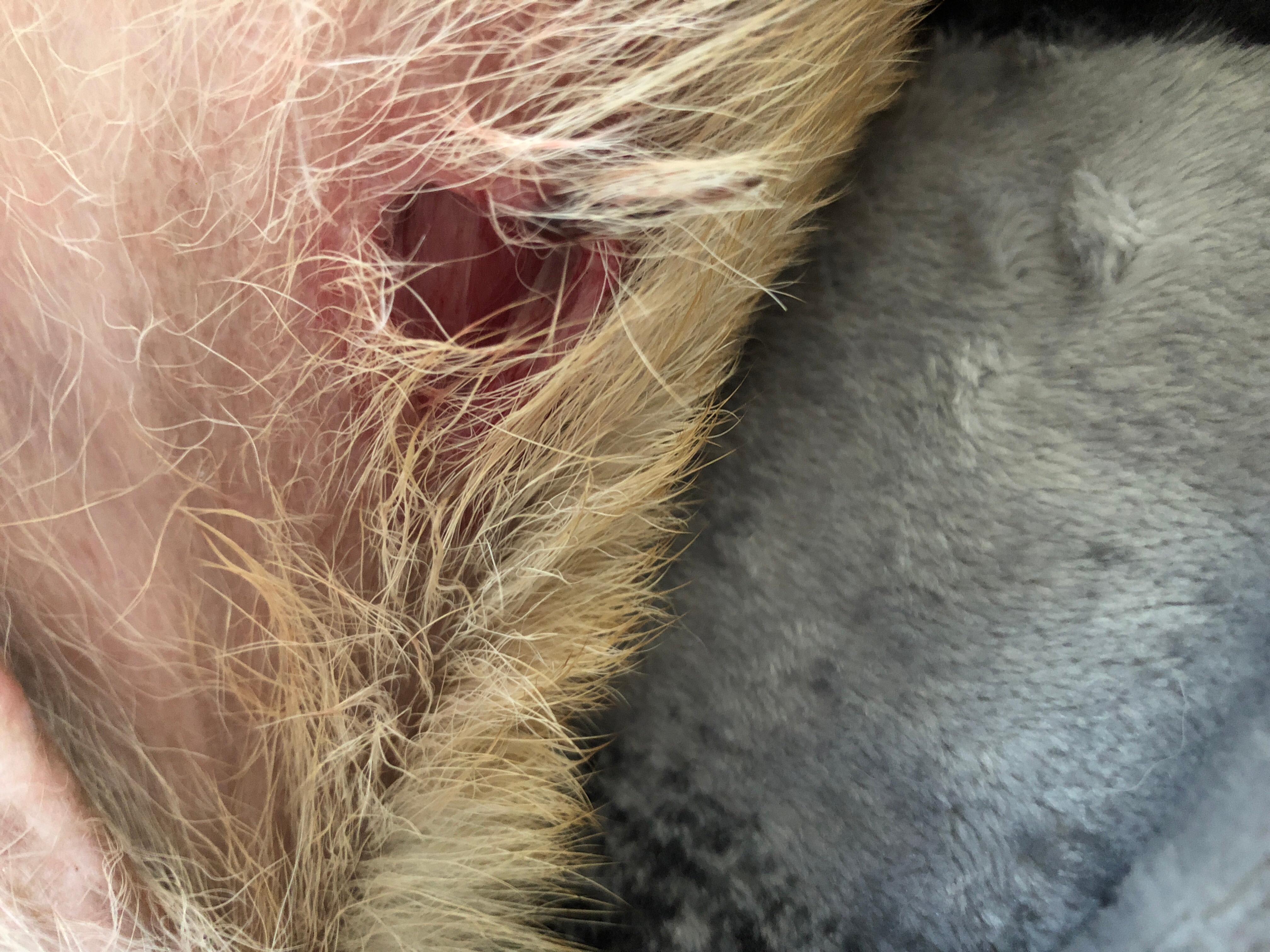 Question details sensitive content