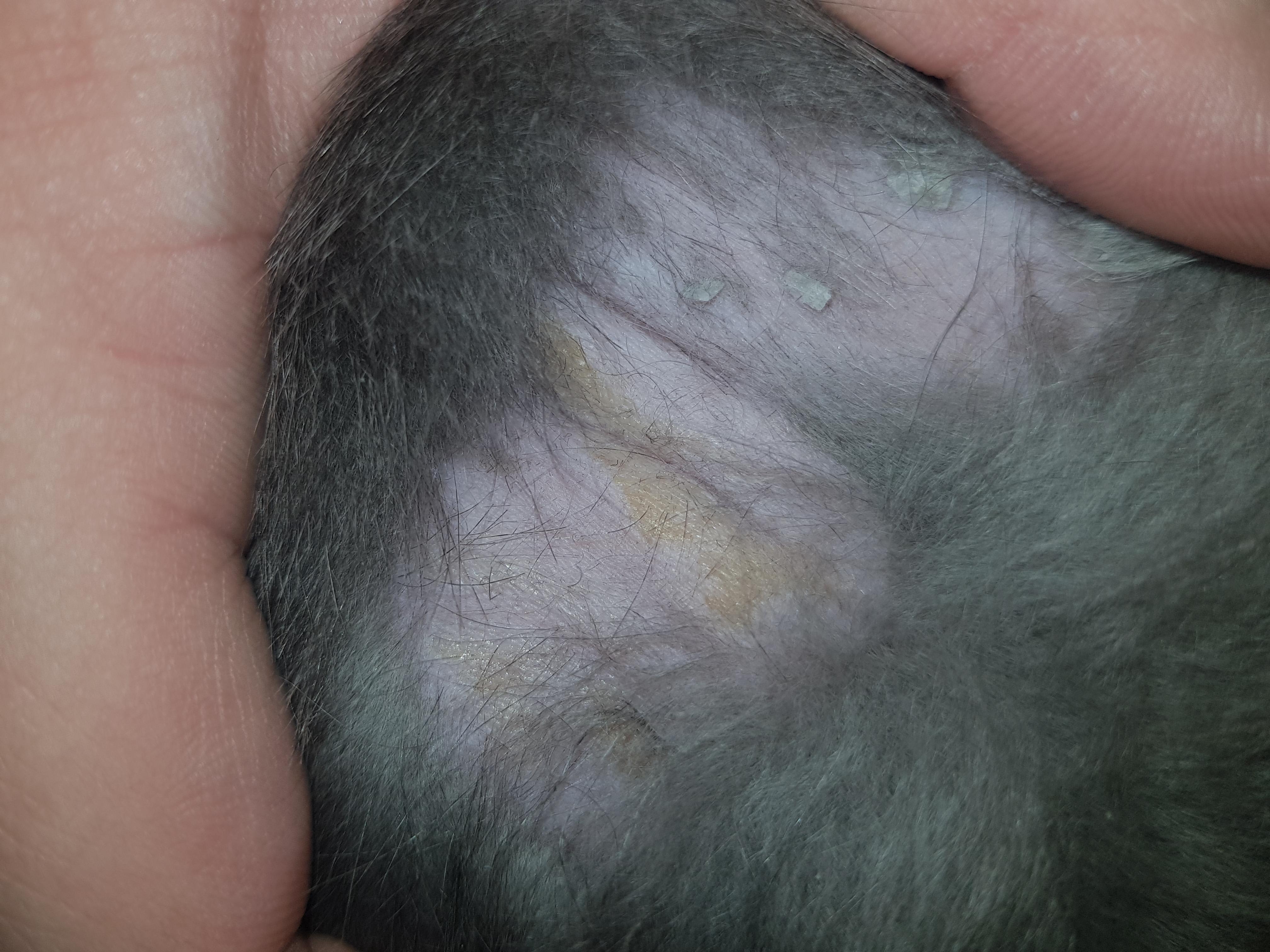 Question details sensitive content