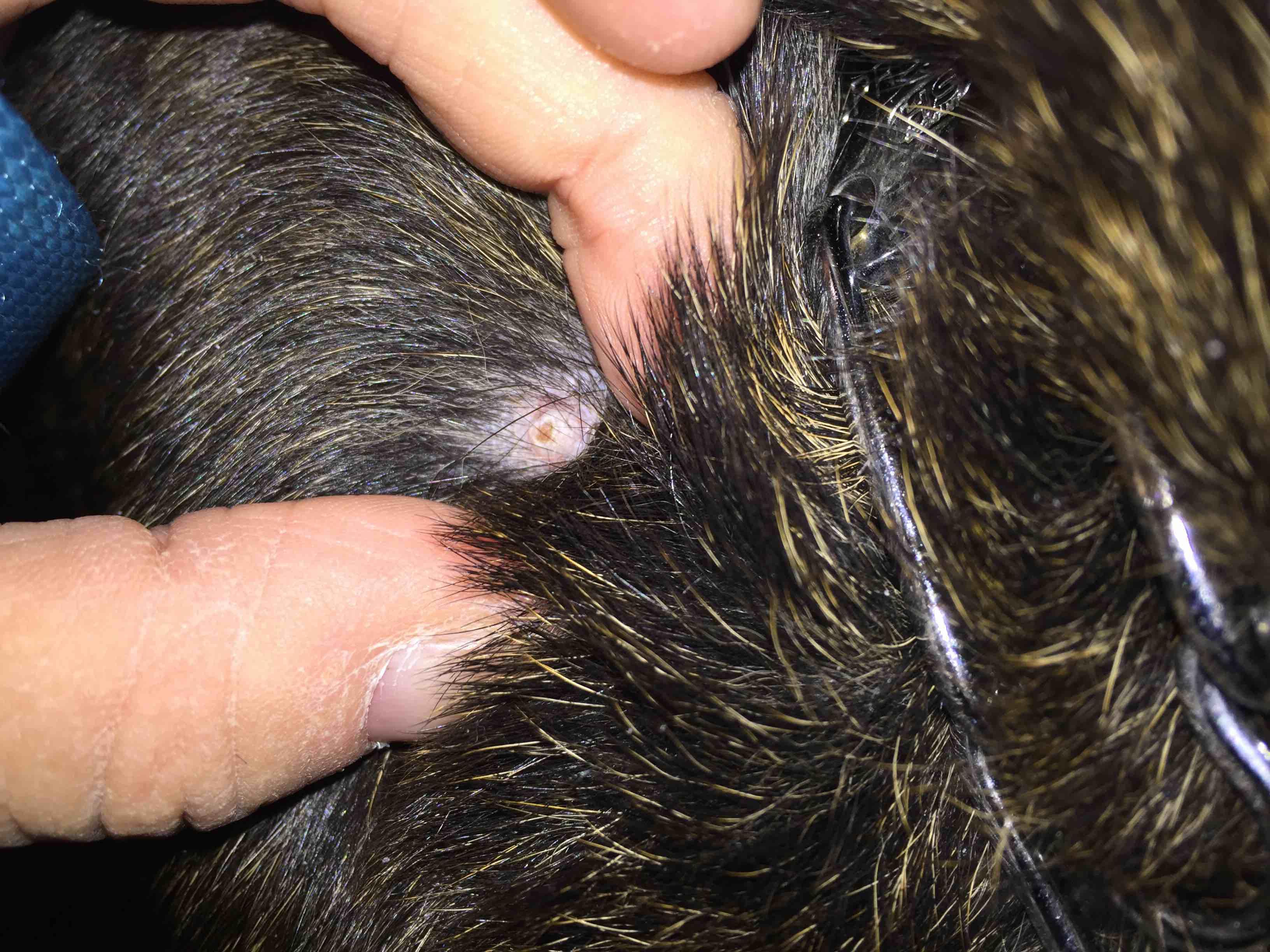 Question details sensitive content