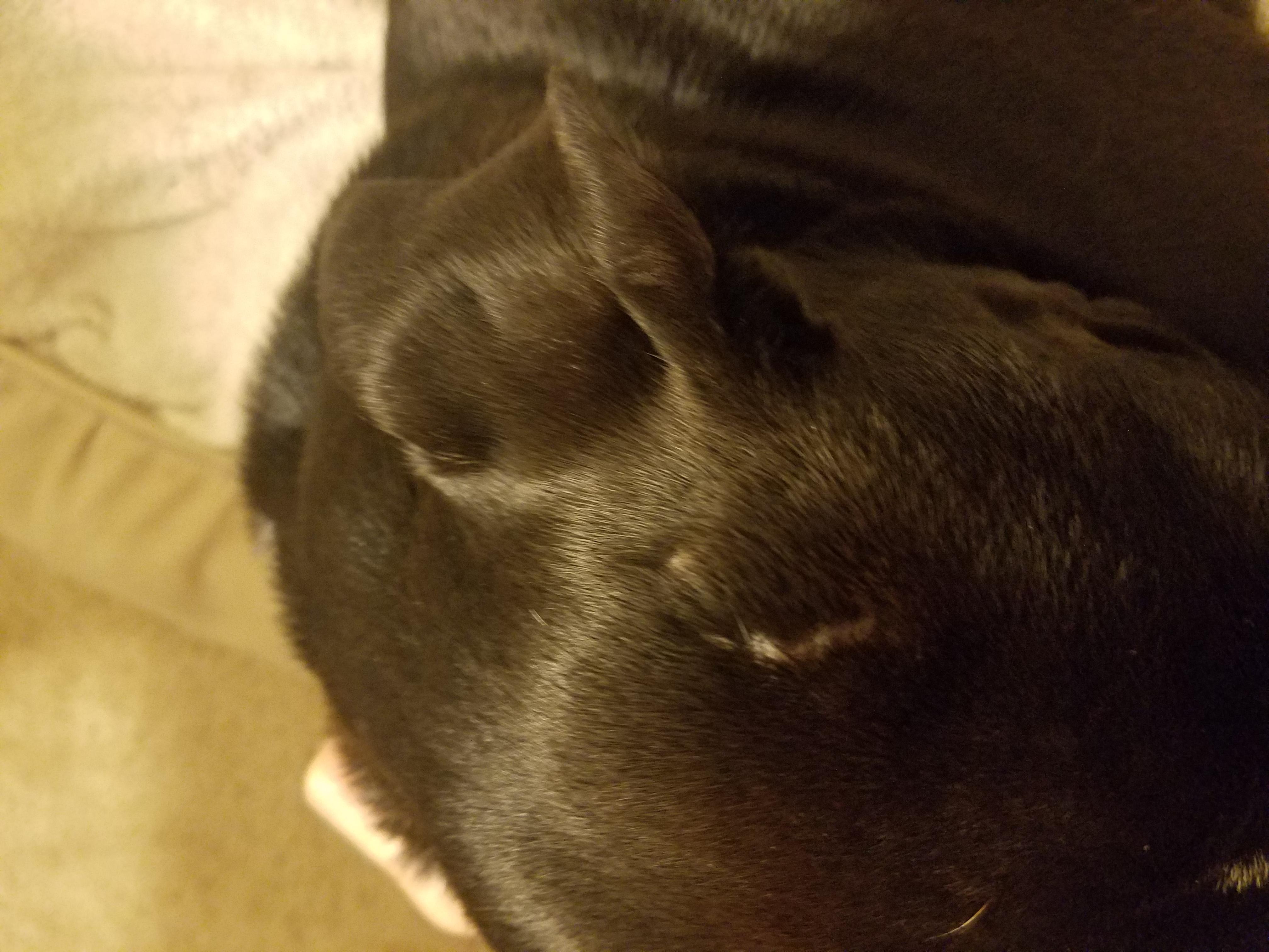 Question details sensitive content