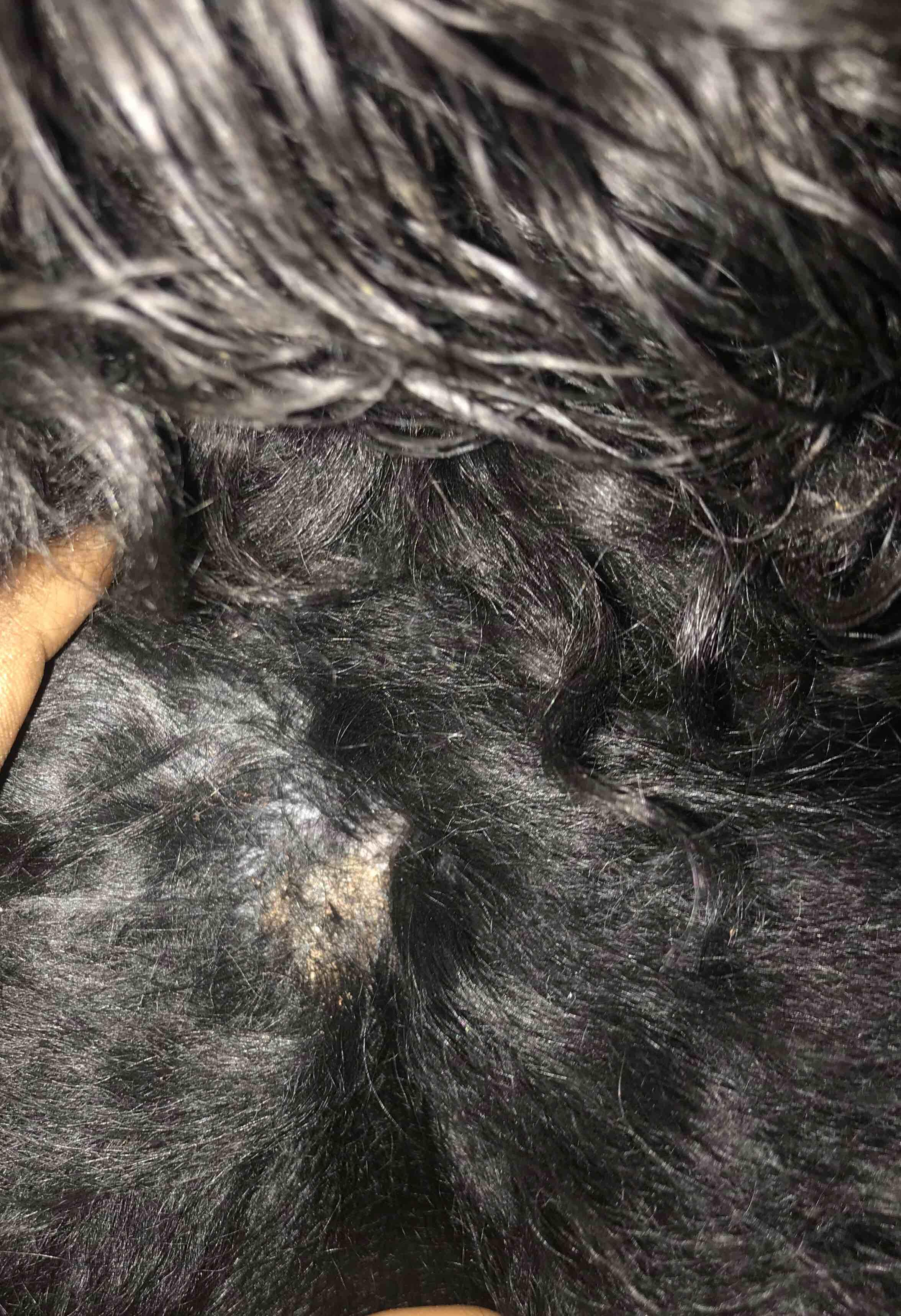 Question details sensitive content