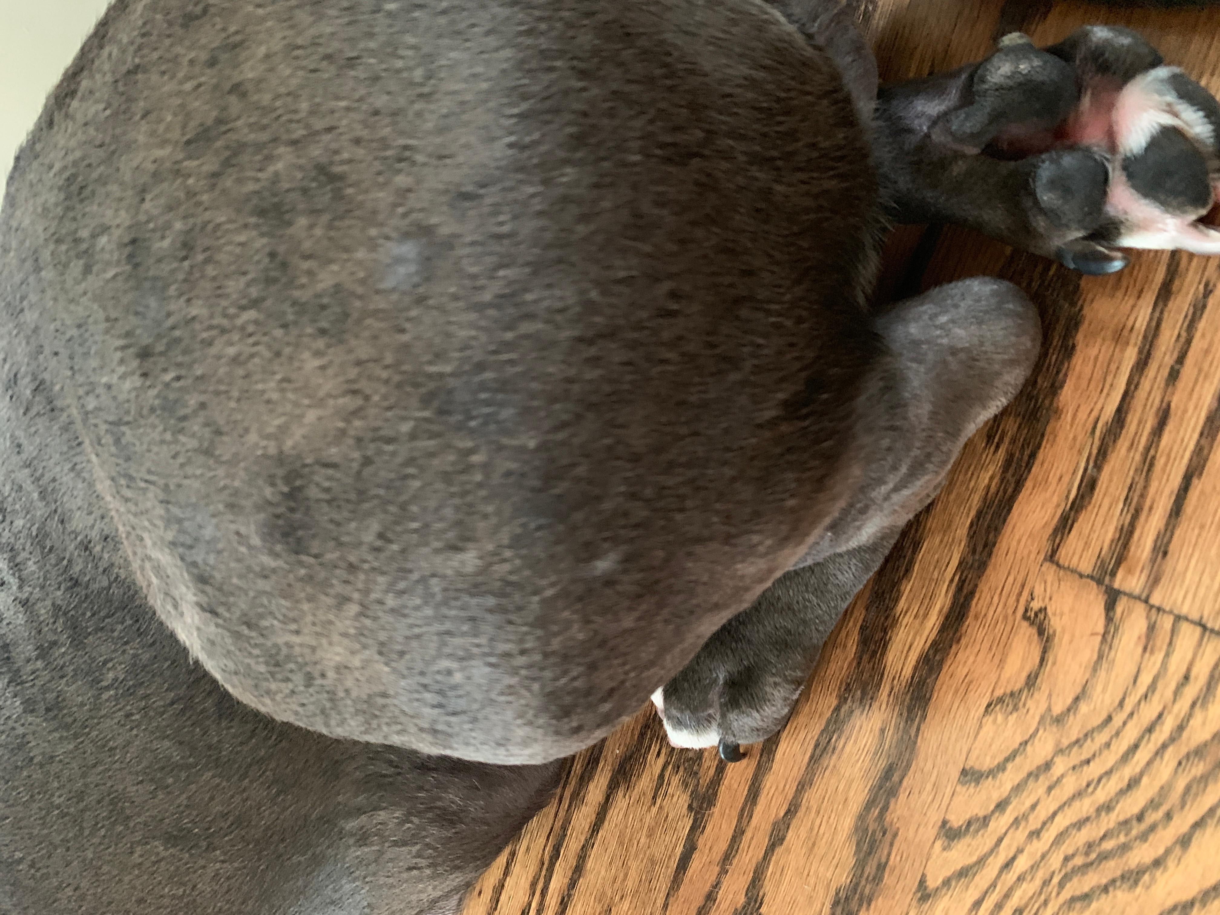 Question details sensitive content