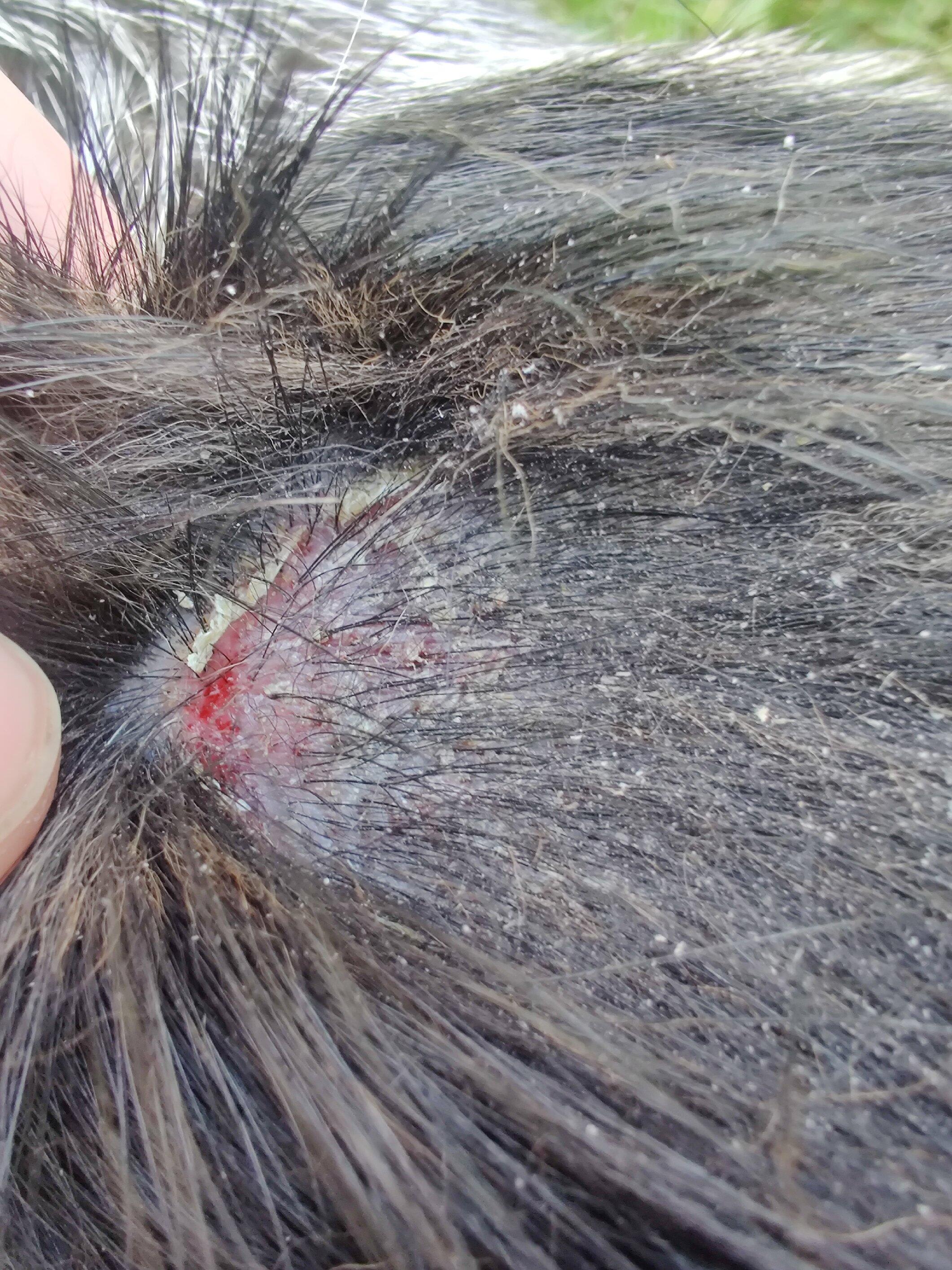 Question details sensitive content