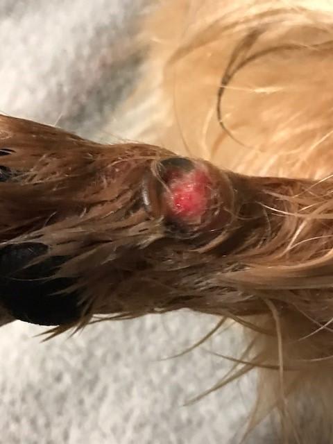 Question details sensitive content