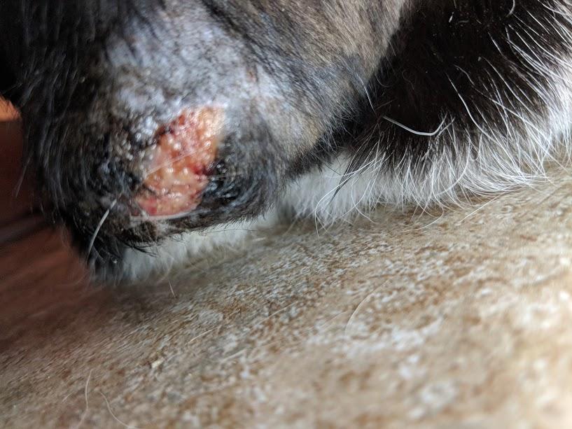 Question details sensitive content