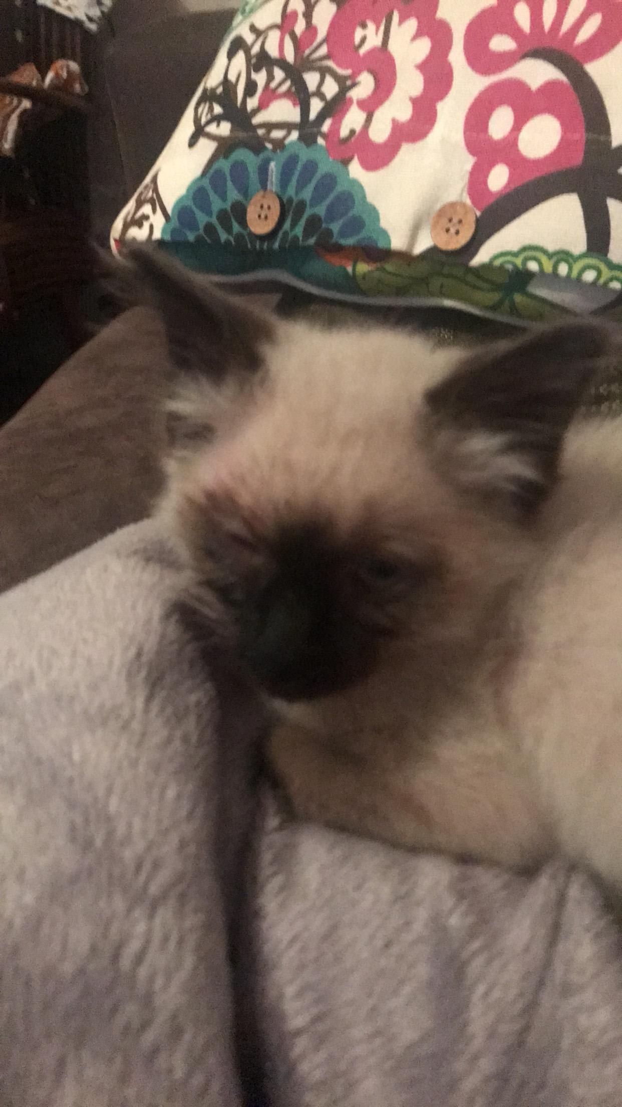 Question details sensitive content