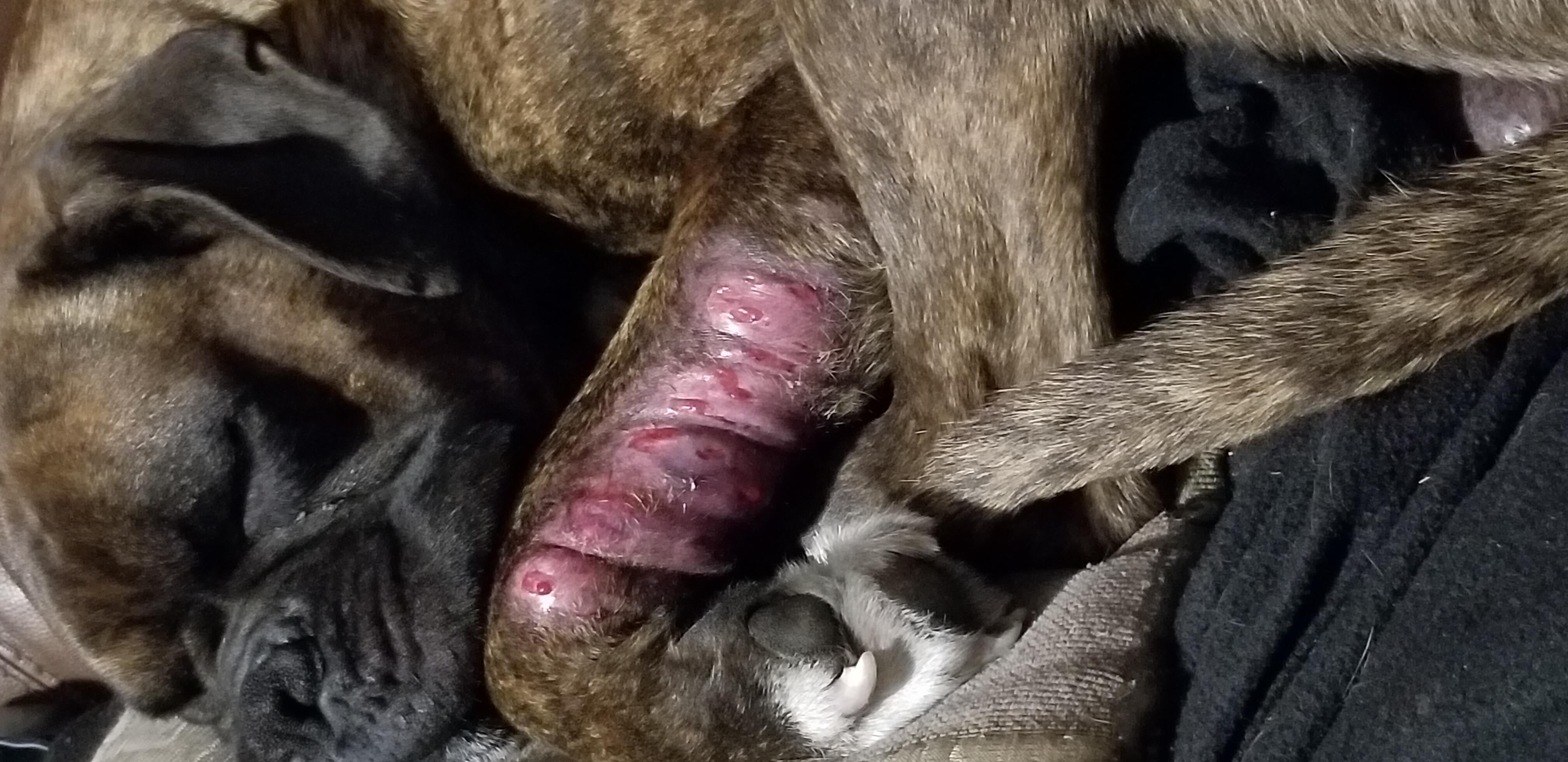 Question details sensitive content