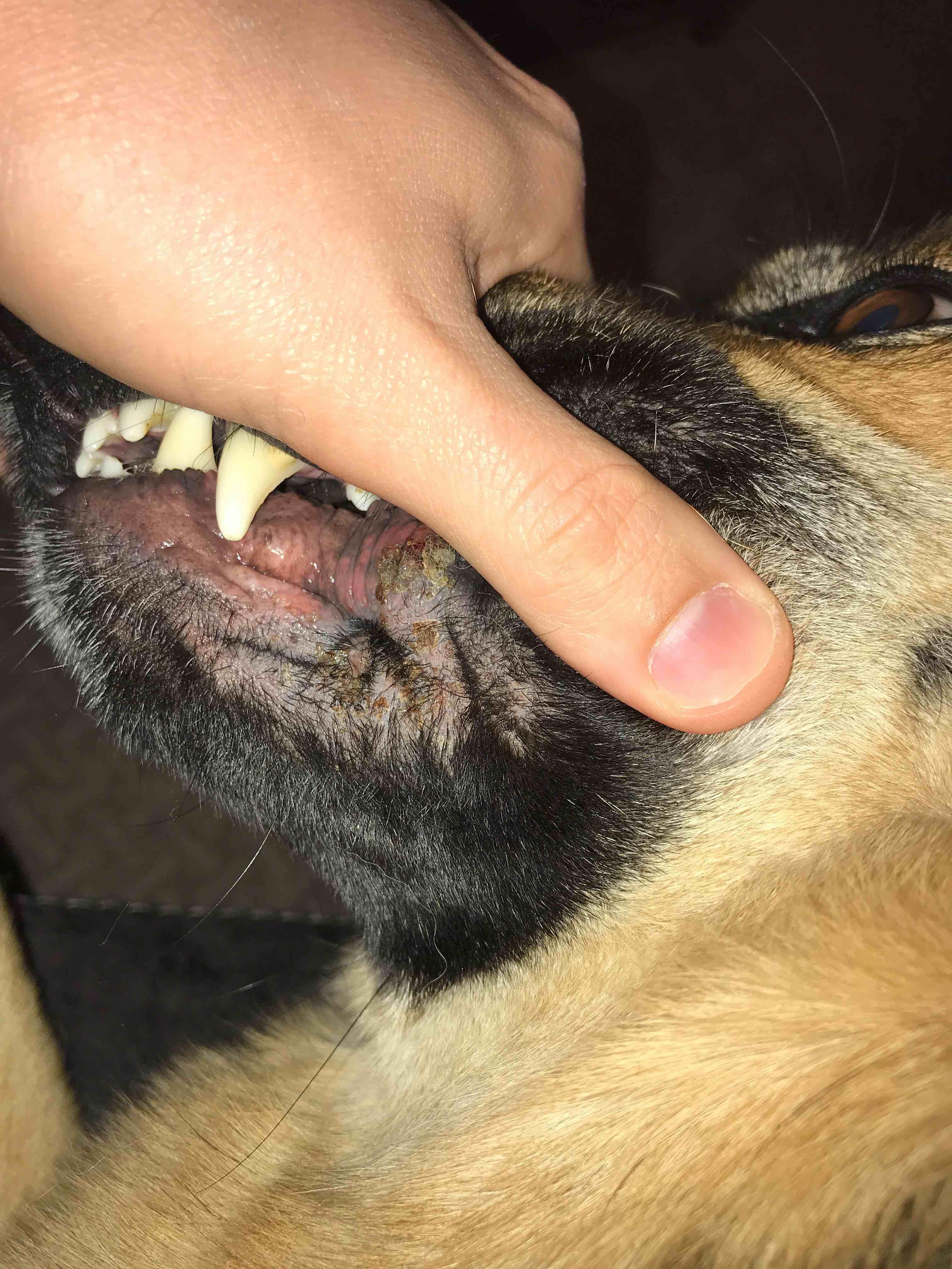 Question details sensitive content