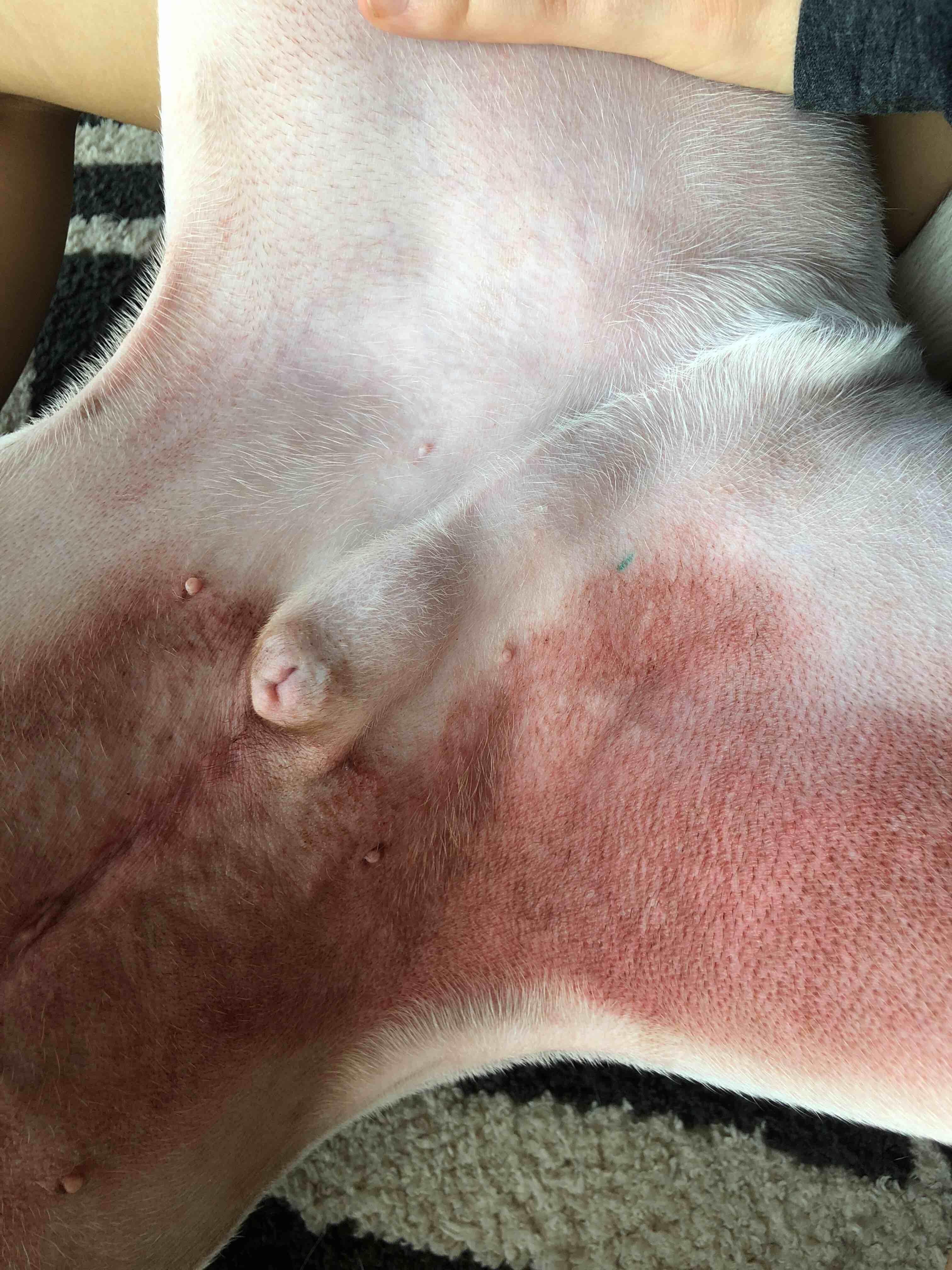 Question details sensitive content