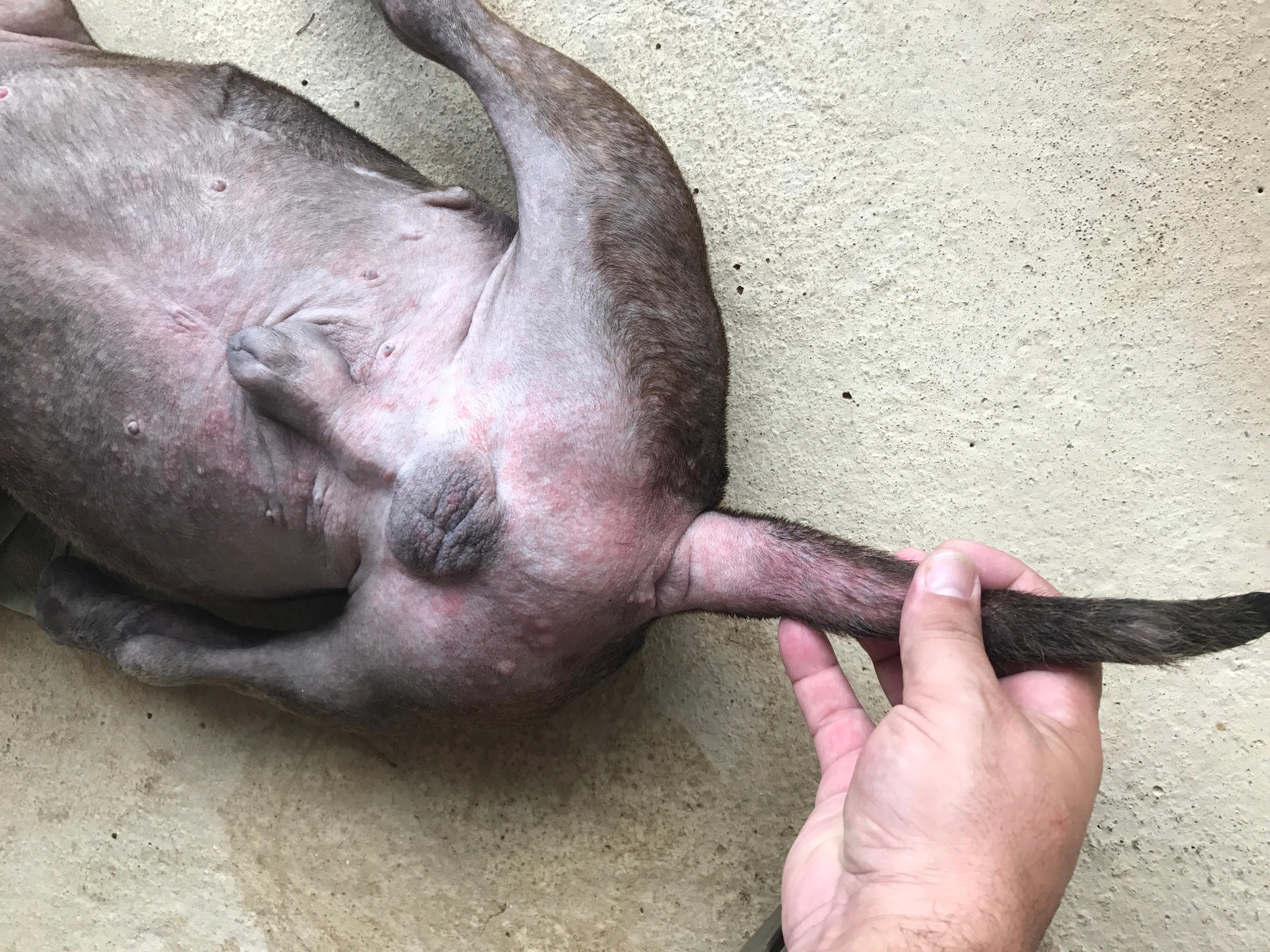 Question details sensitive content