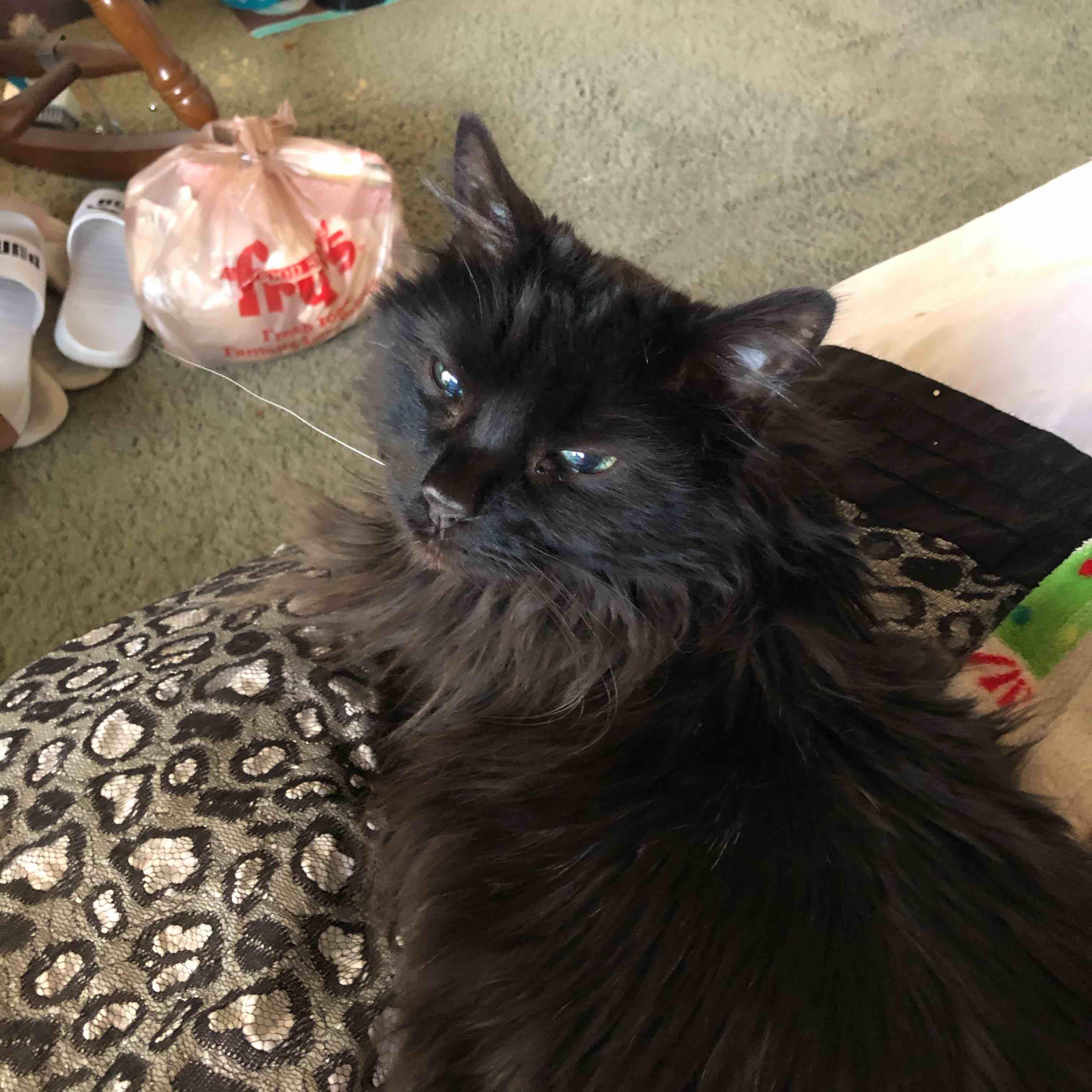 Question details sensitive content