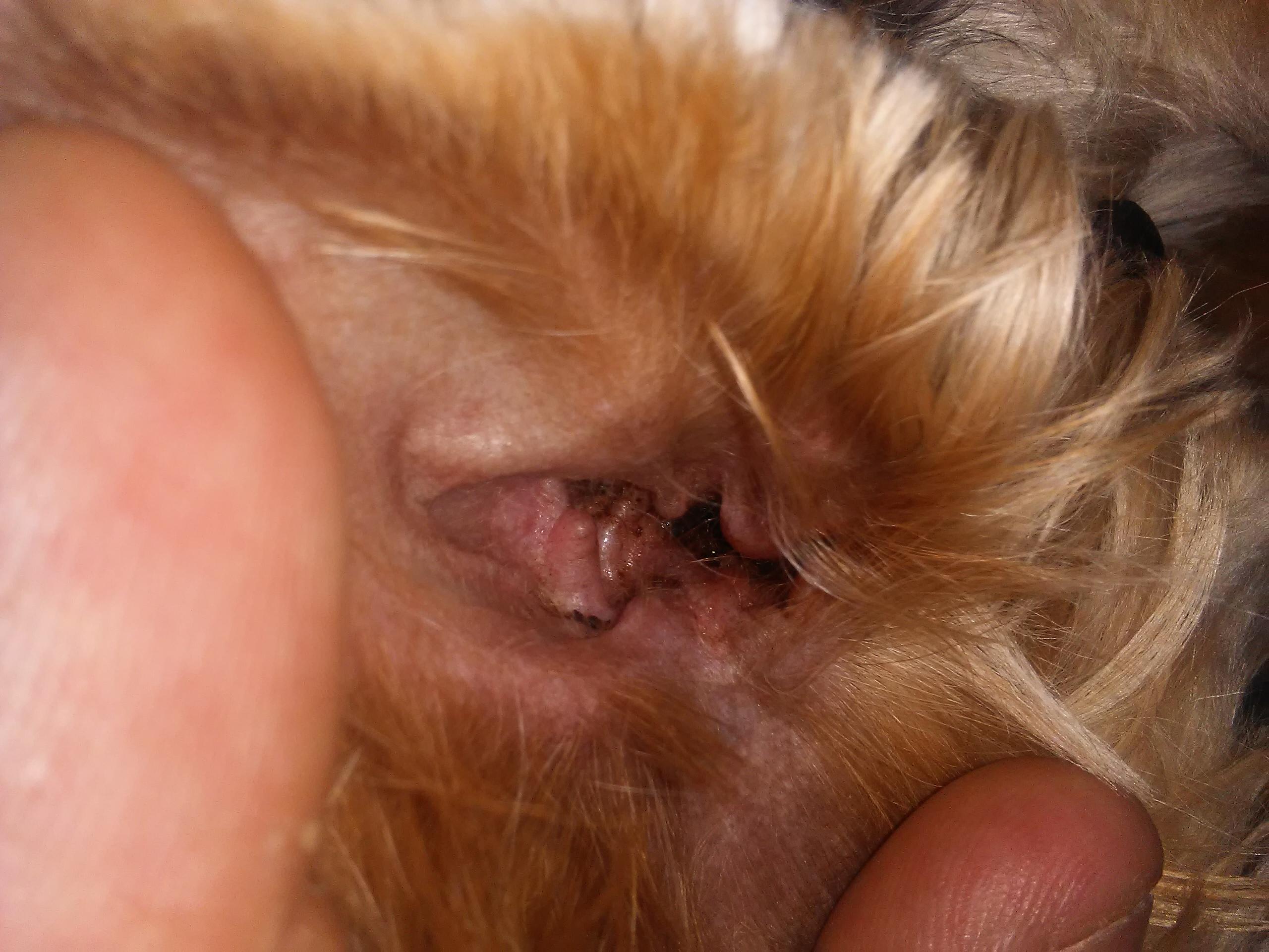 Question details sensitive content