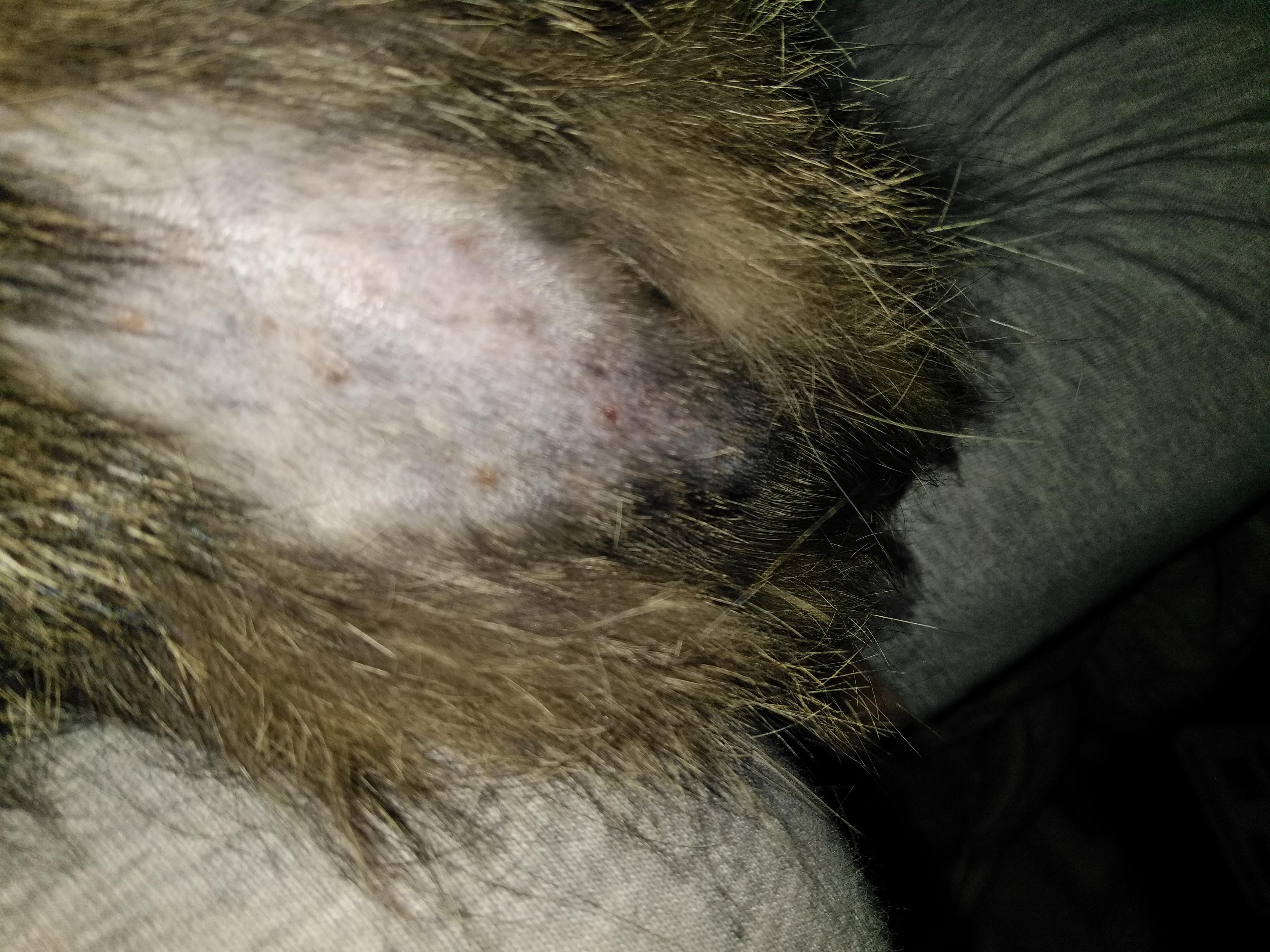 Question details sensitive content