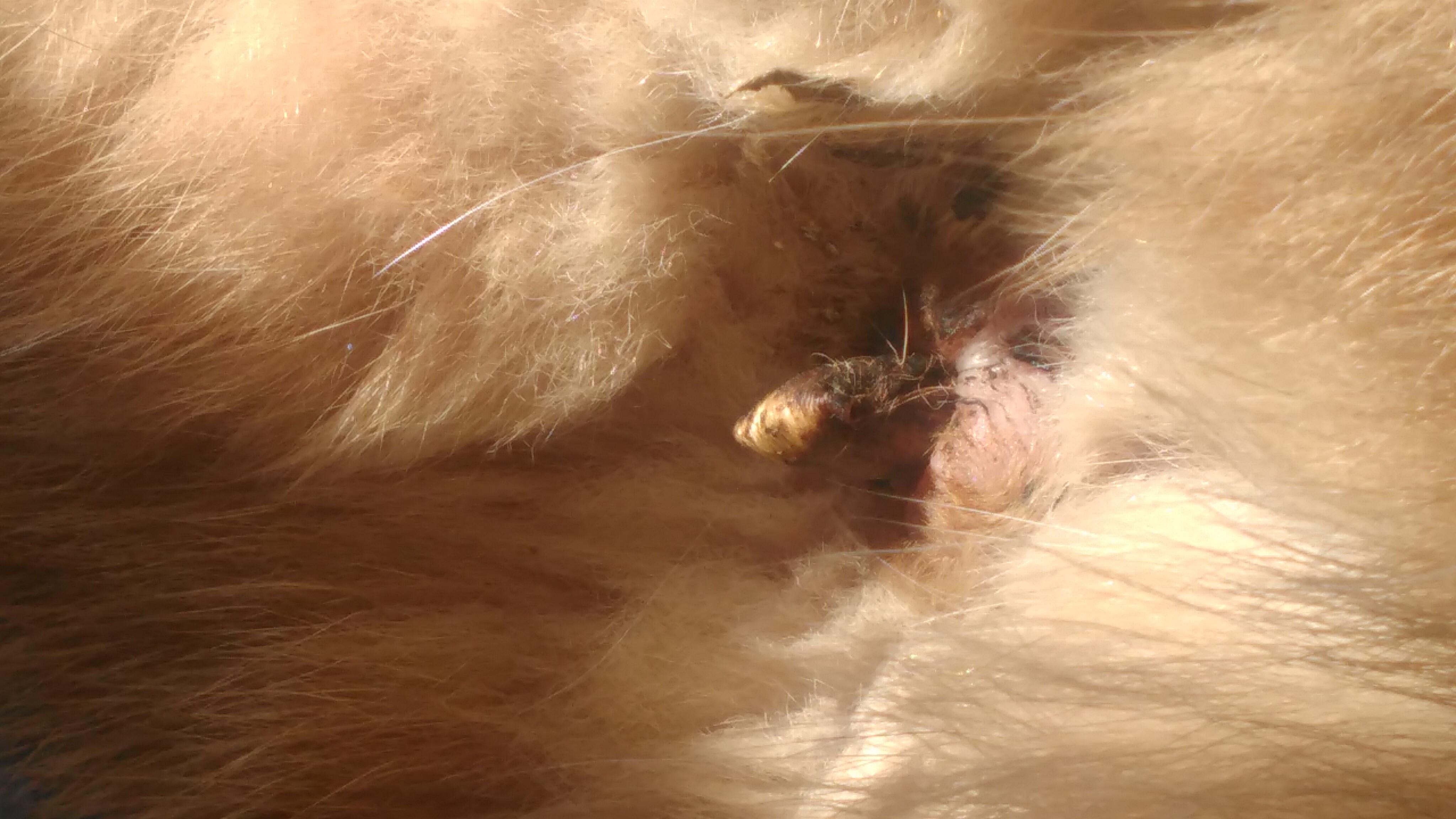 Question details sensitive content