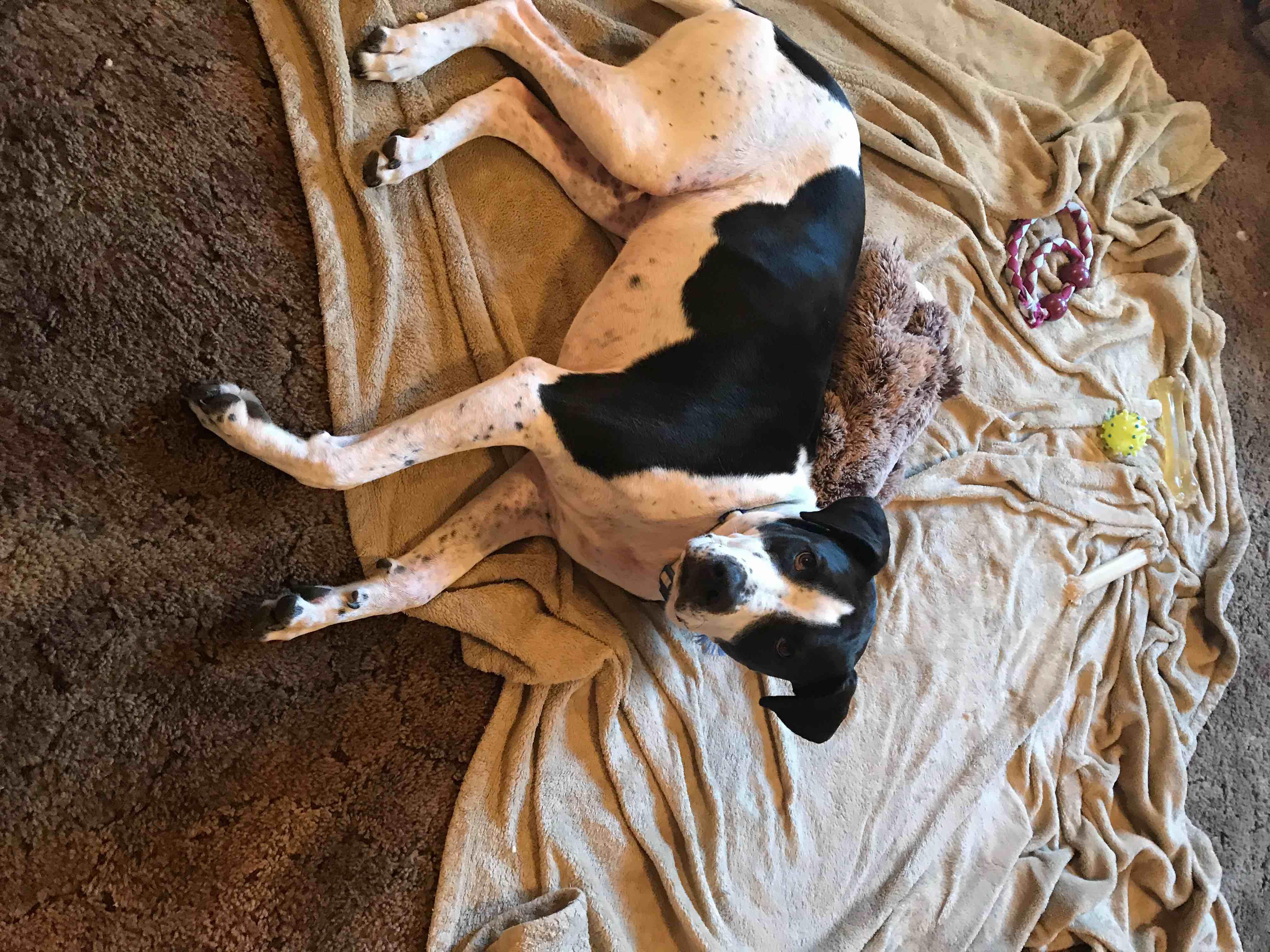 Question details sensitive content