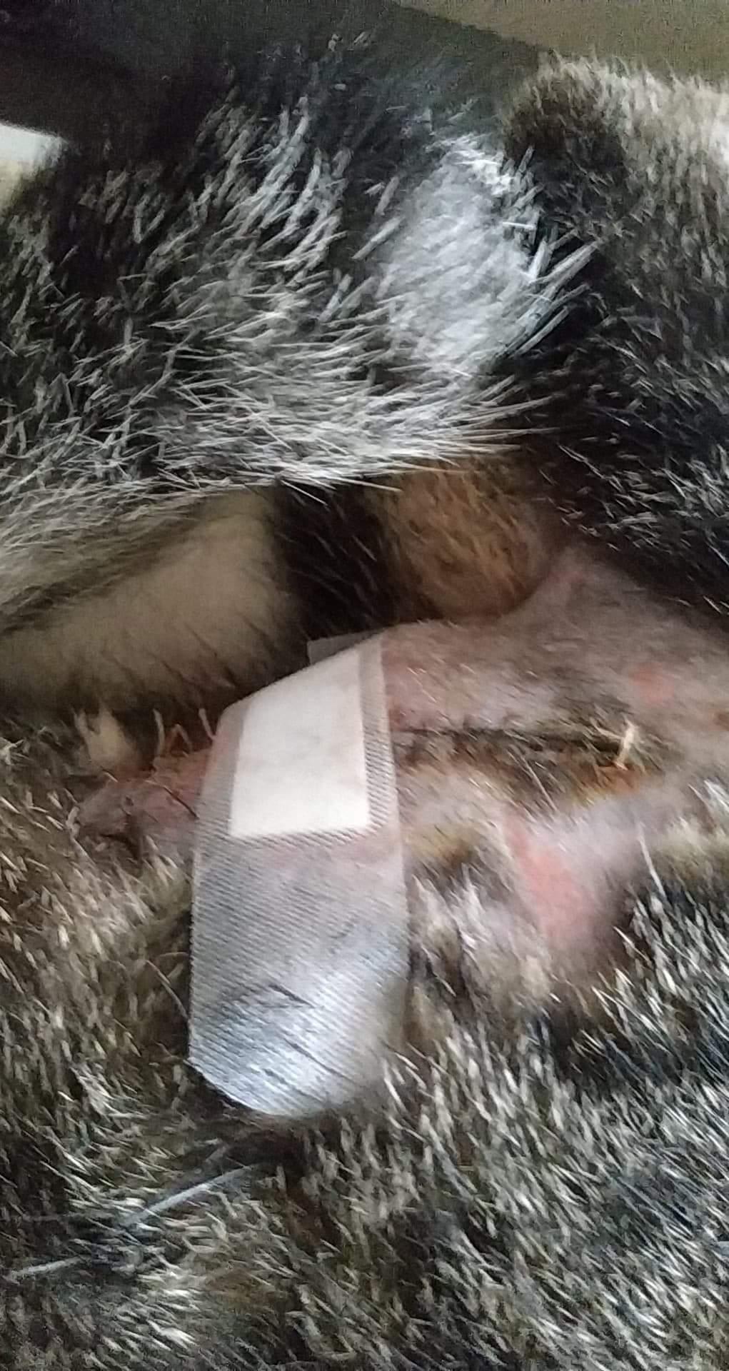 Question details sensitive content