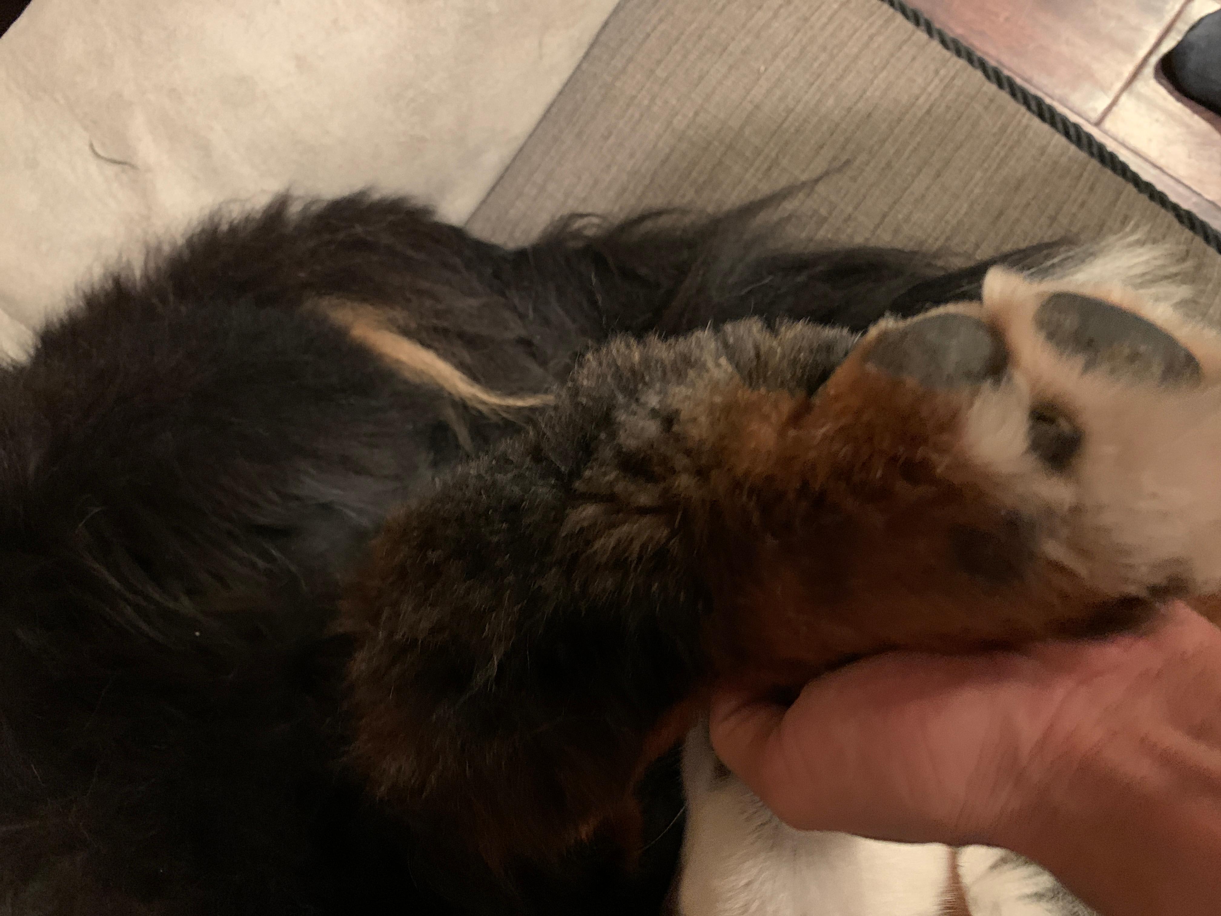 Question details sensitive content