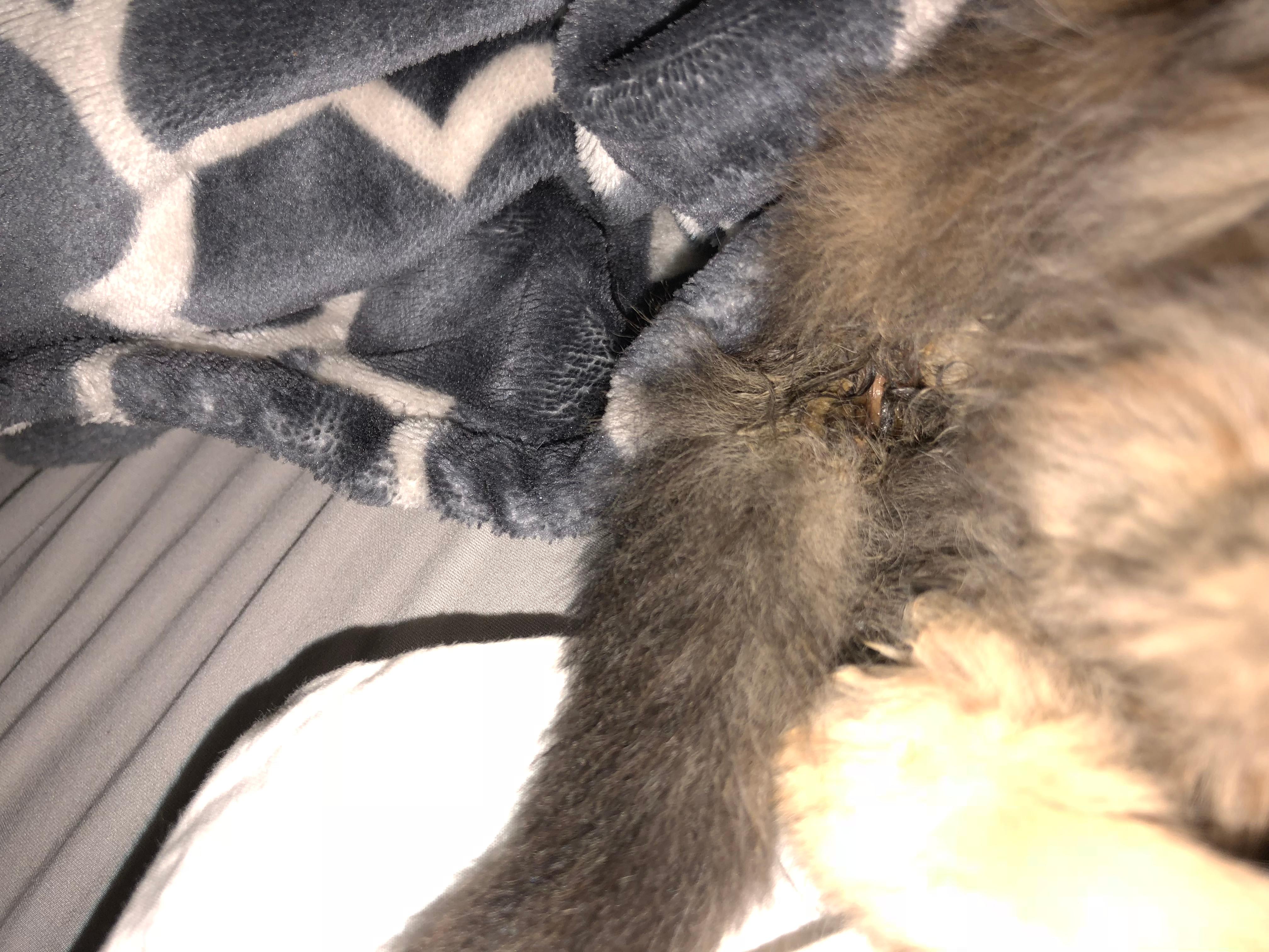 Question details sensitive content