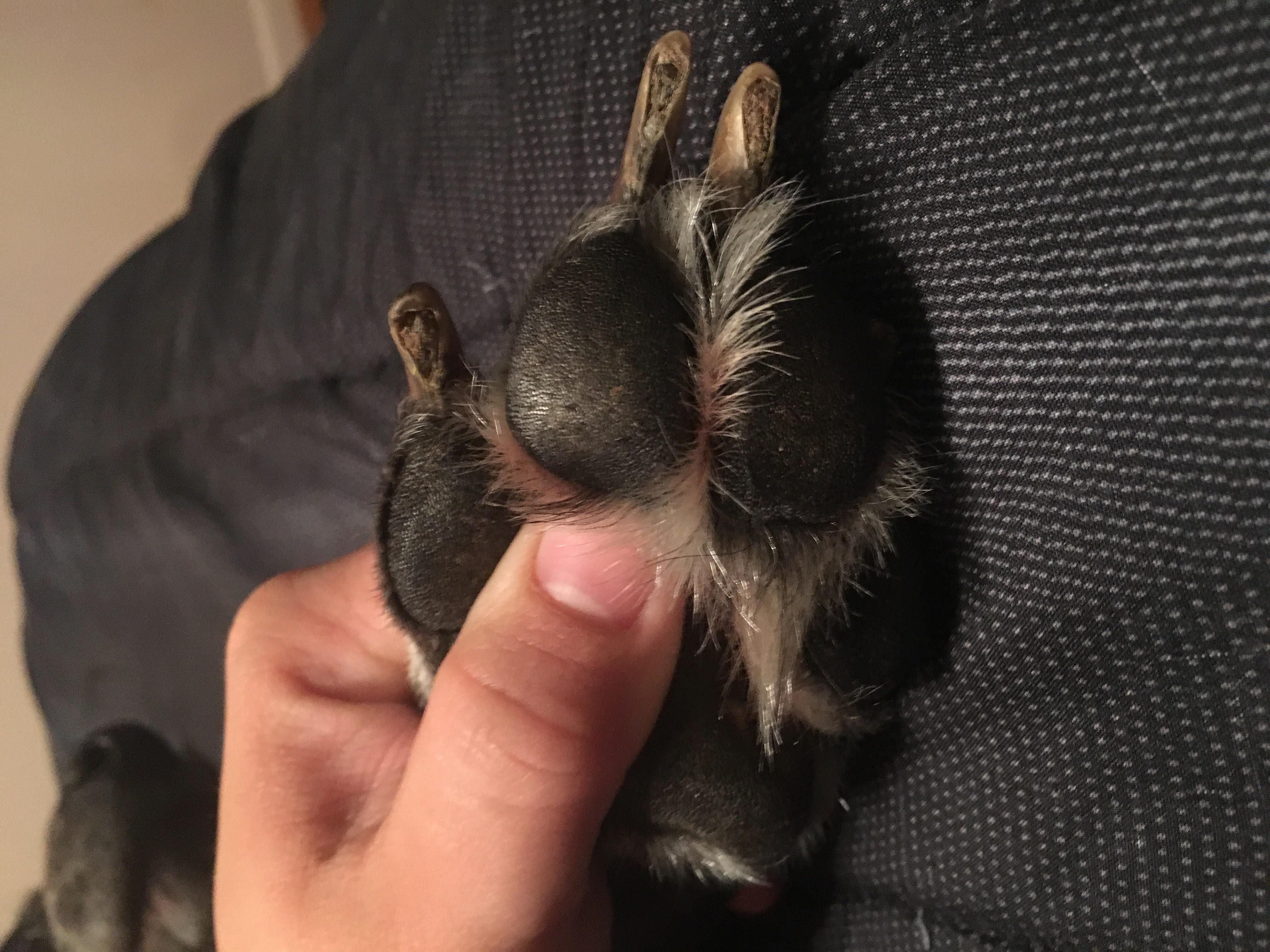 Question details sensitive content