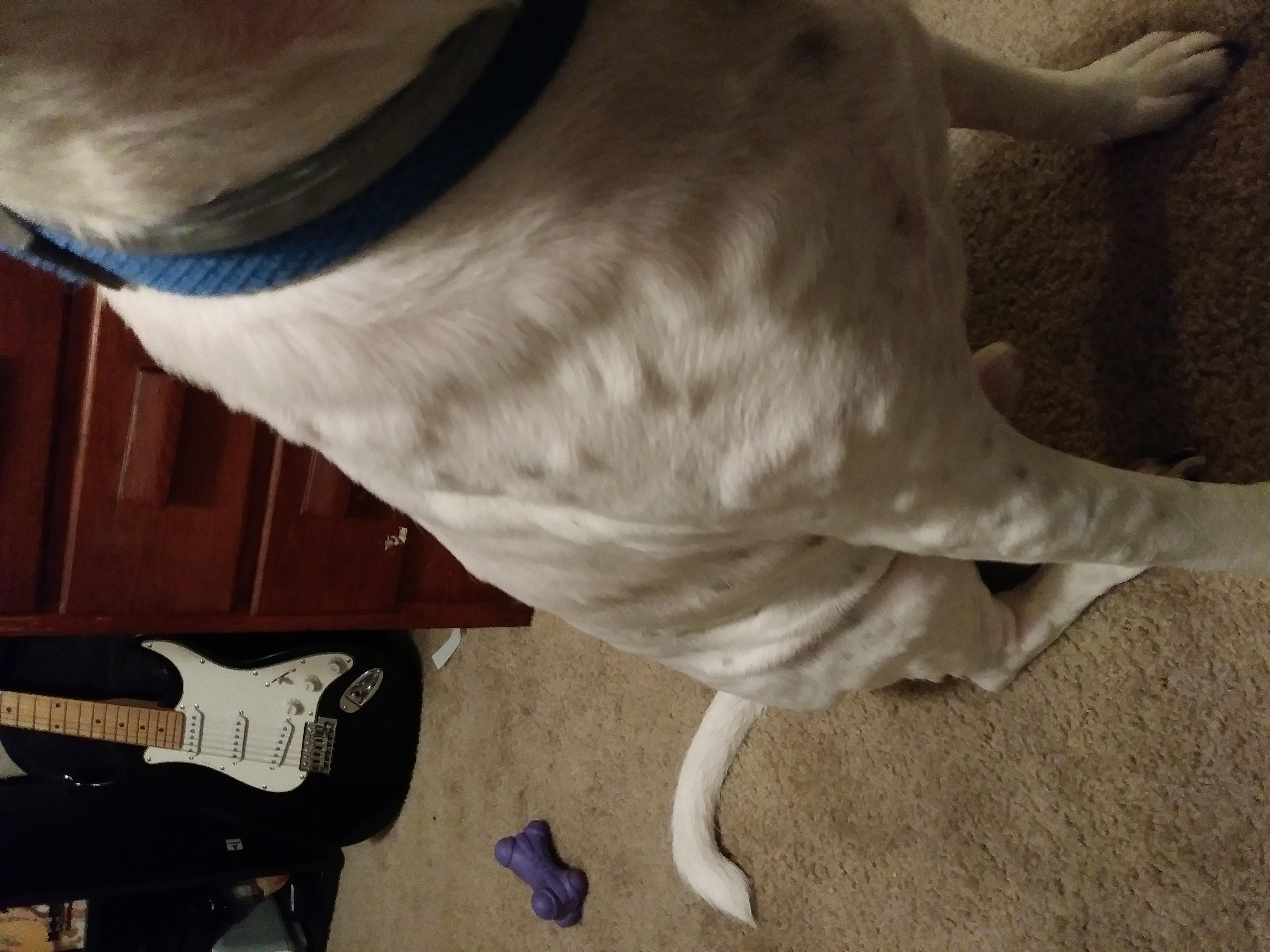 Question details sensitive content