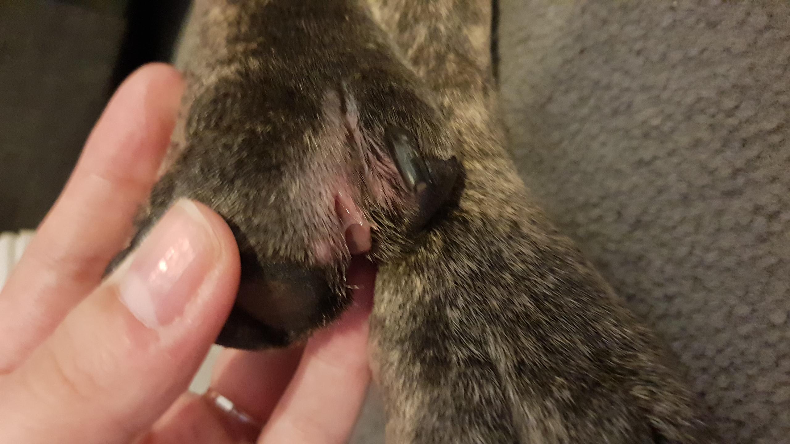 Question details sensitive content