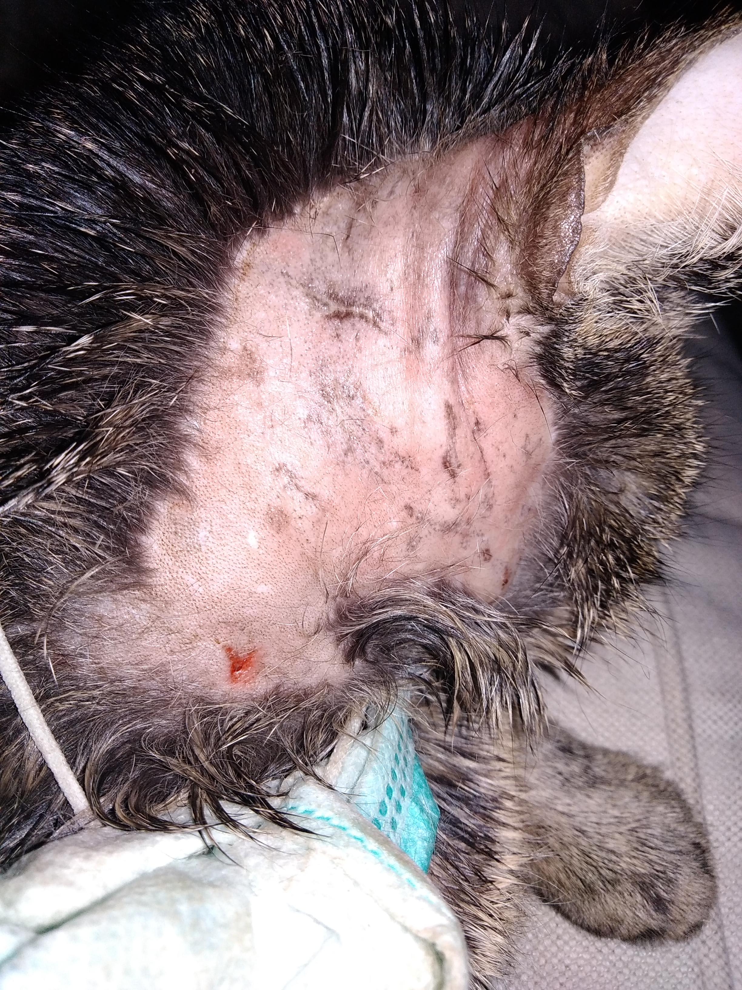 Question details sensitive content