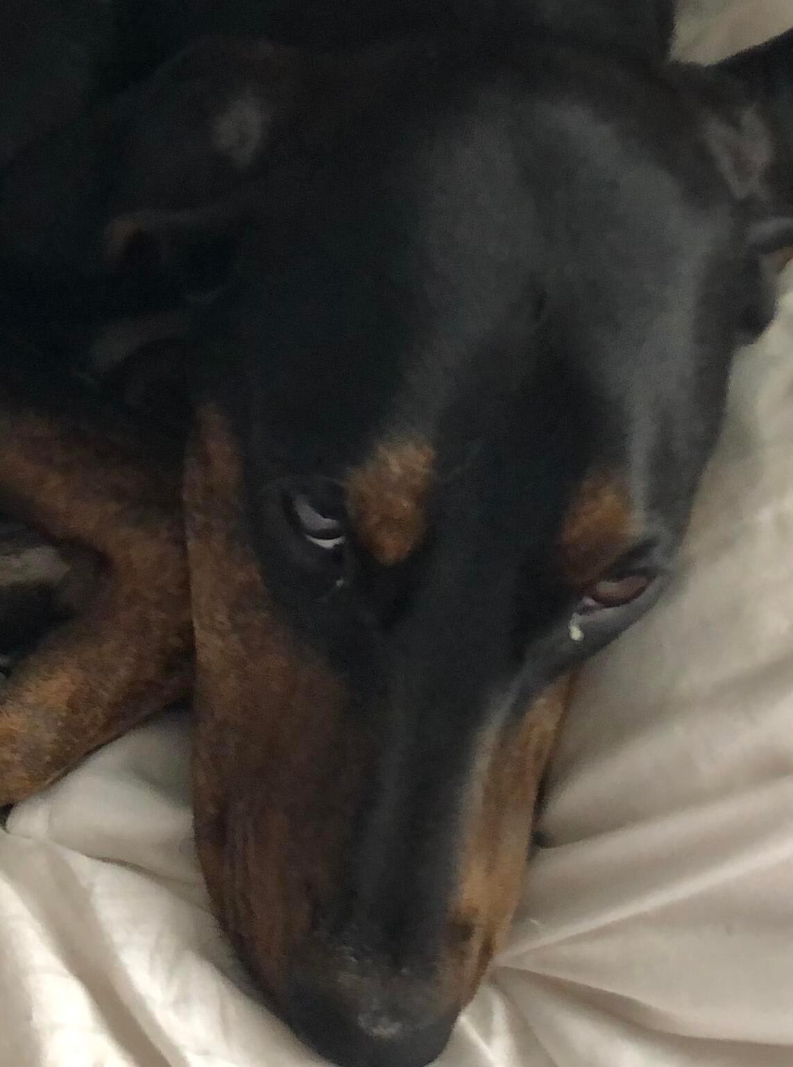 Question details sensitive content