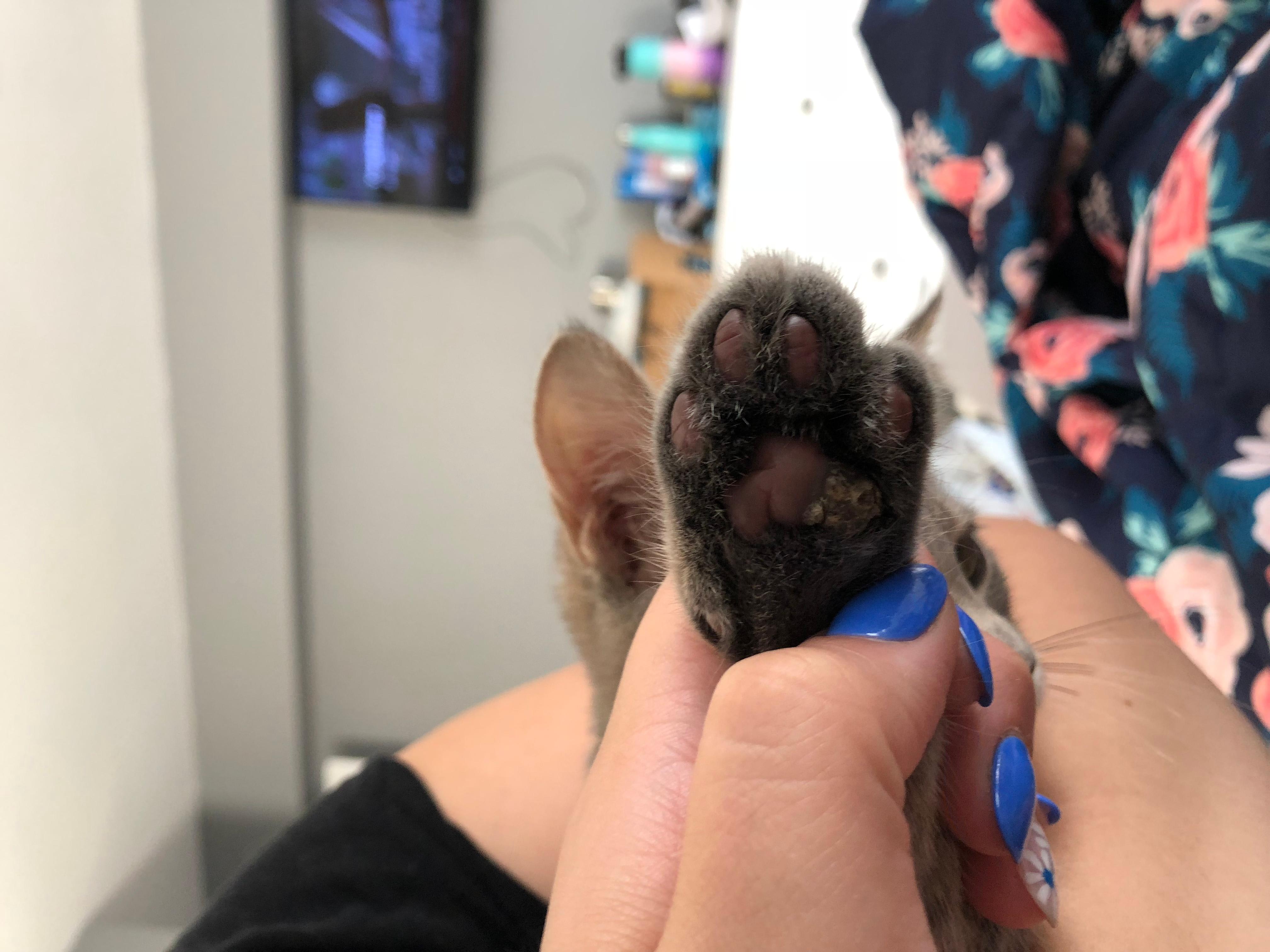 Question details sensitive content