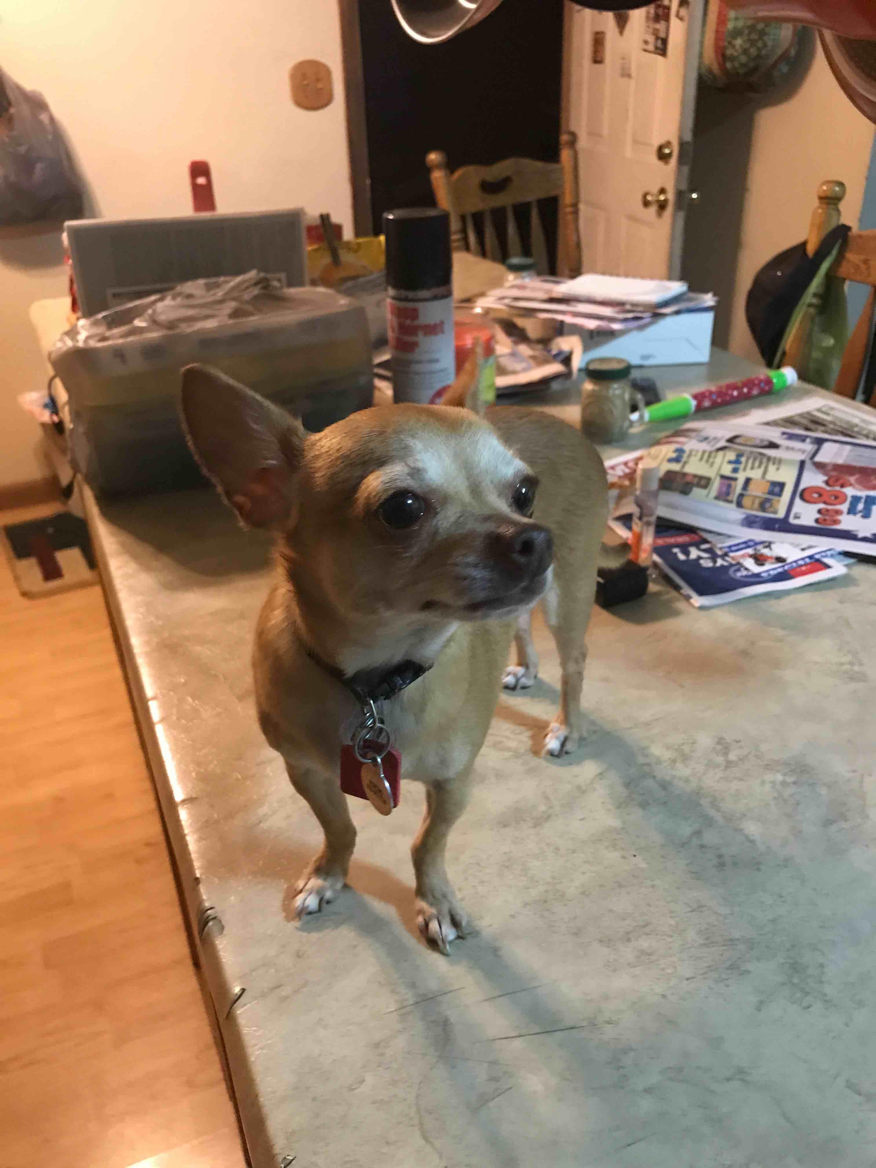 Question details sensitive content