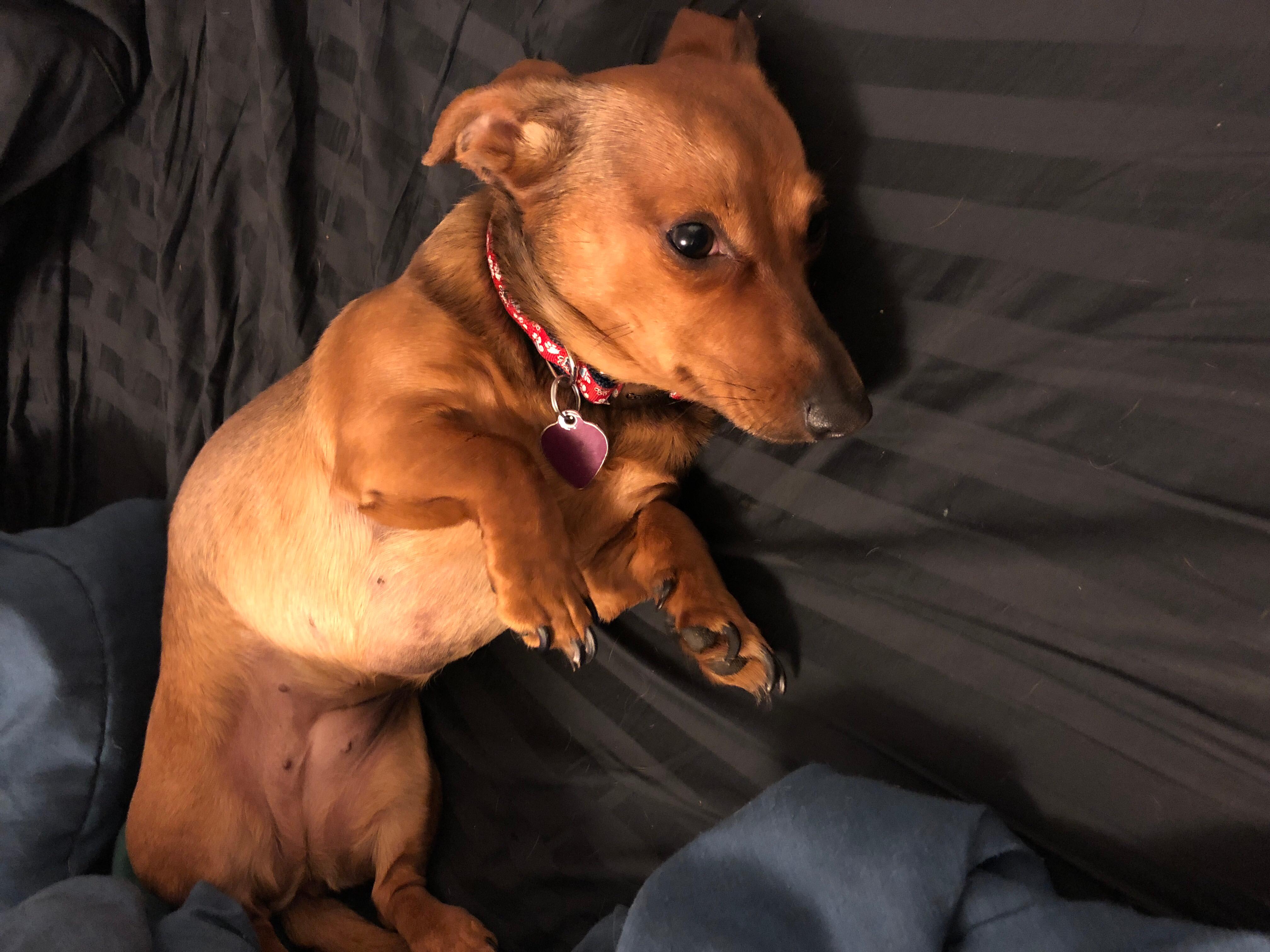 Question details sensitive content