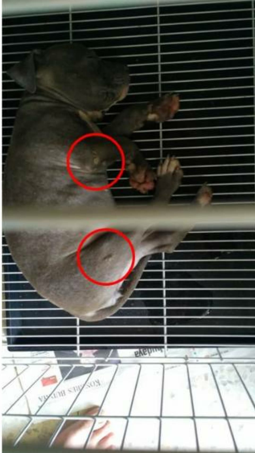 Question details sensitive content