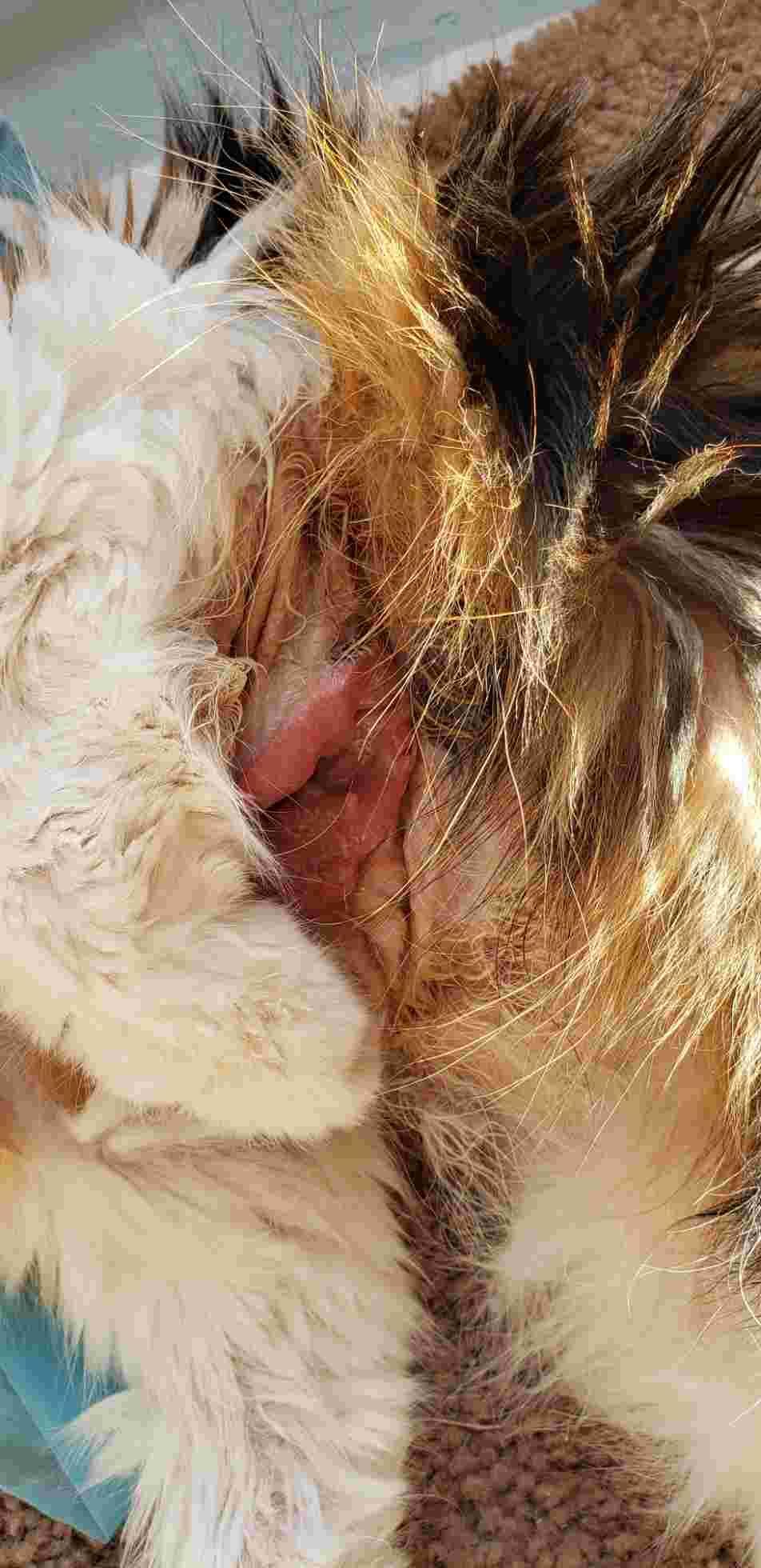 Question details sensitive content