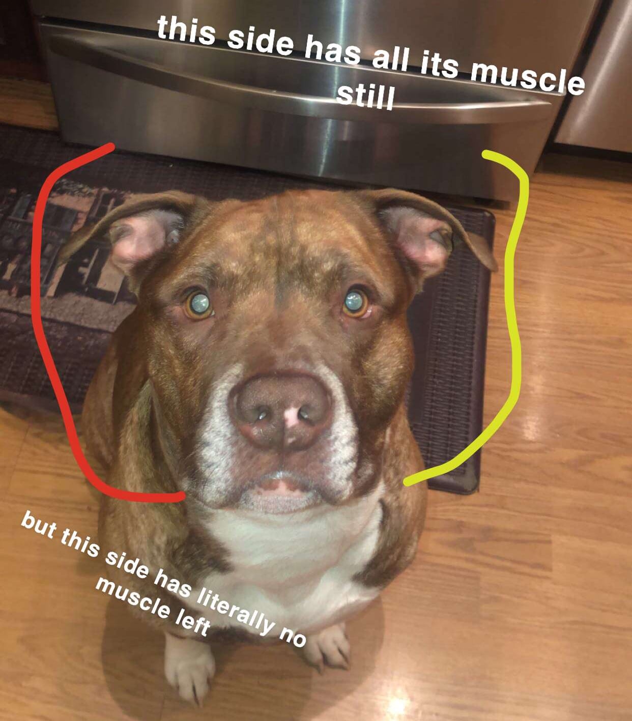 Question details sensitive content