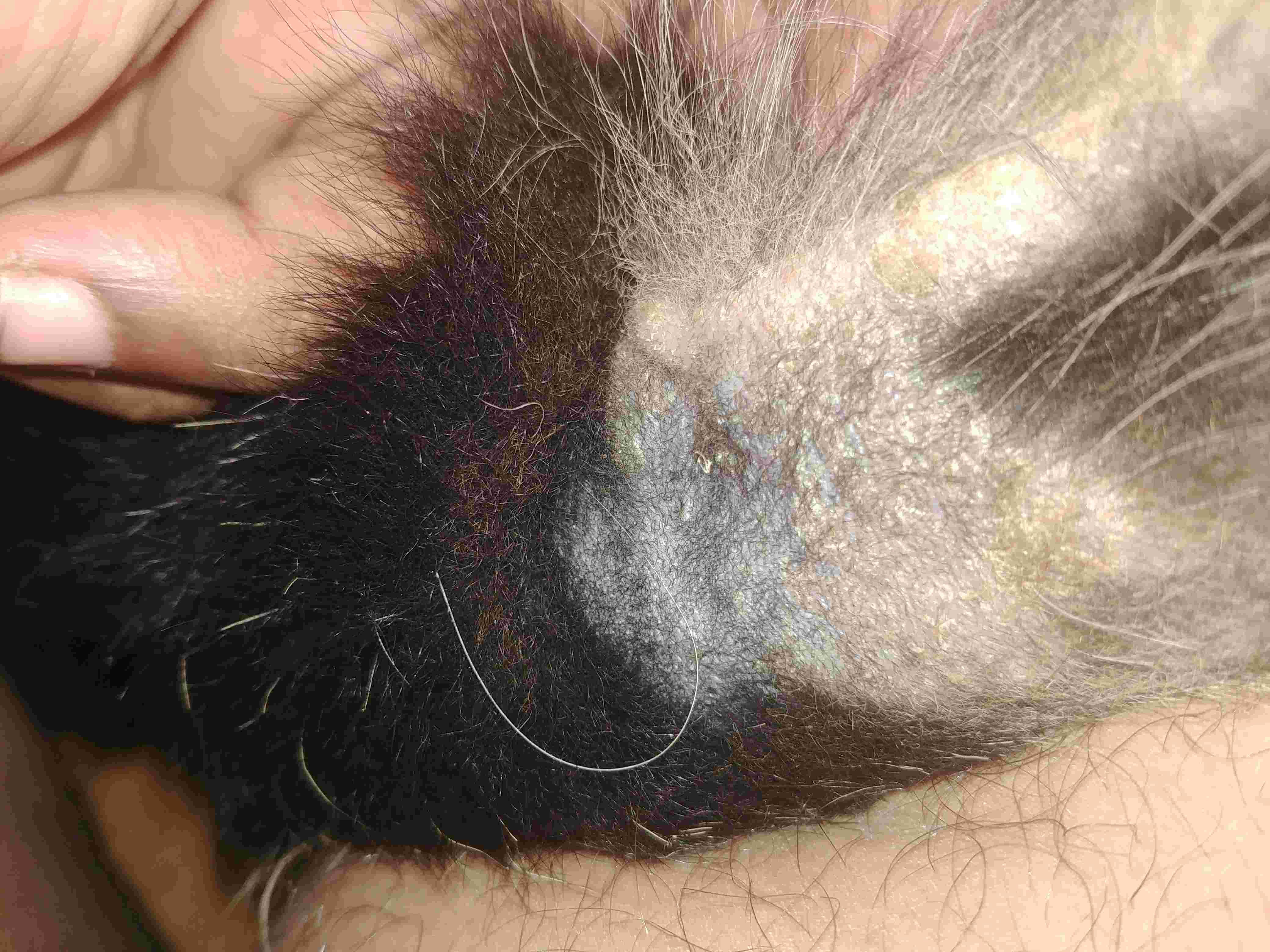 Question details sensitive content