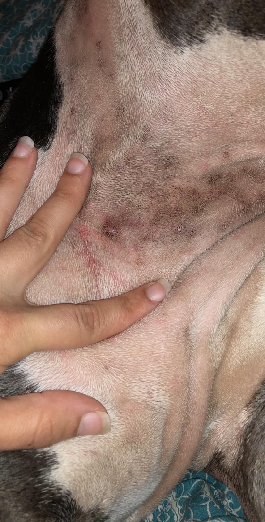 Question details sensitive content