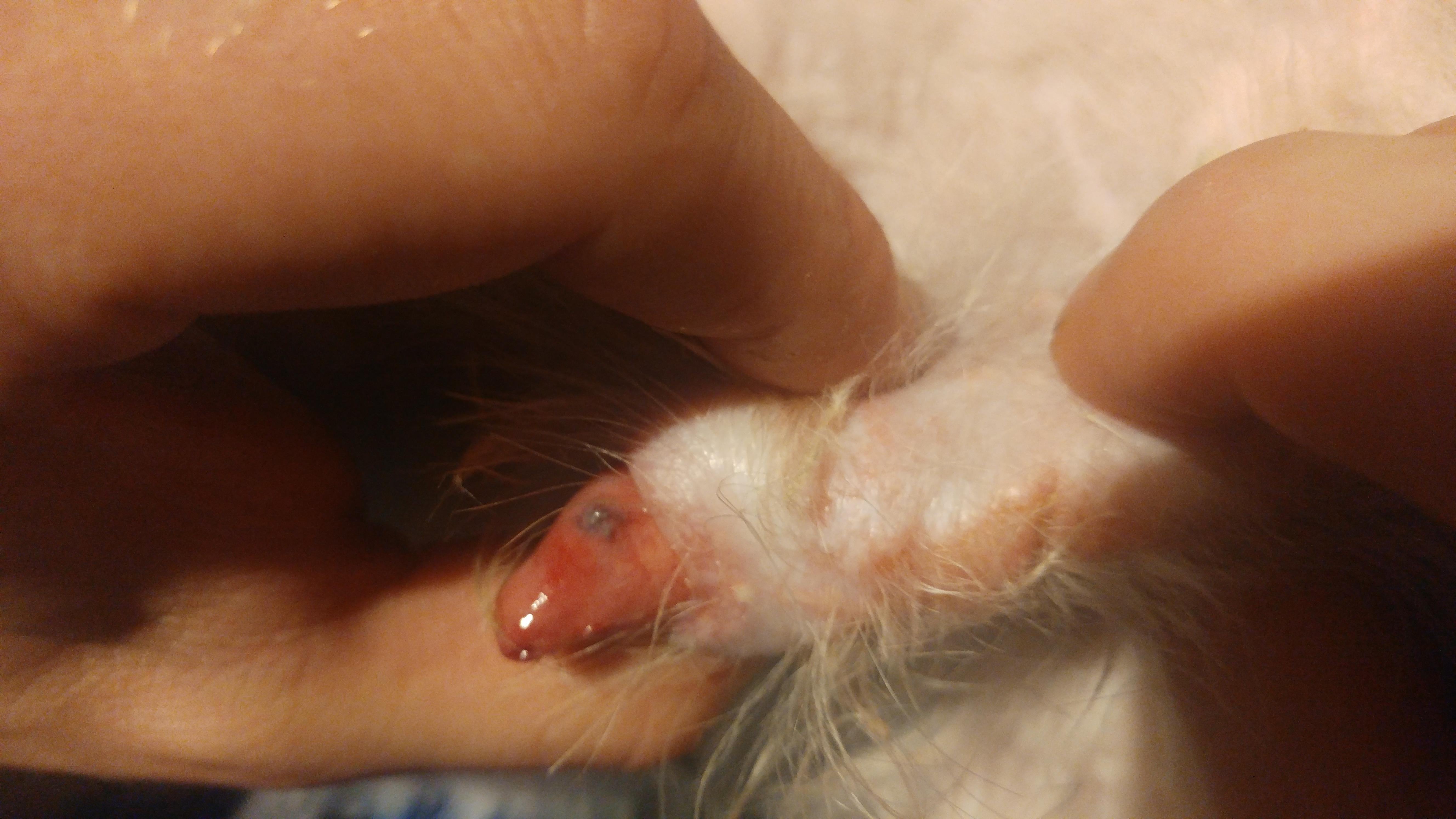 Question details sensitive content