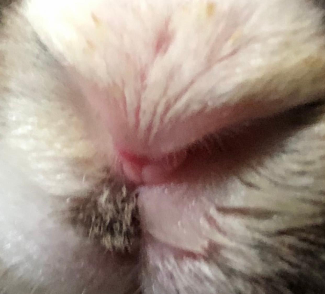 Question details sensitive content