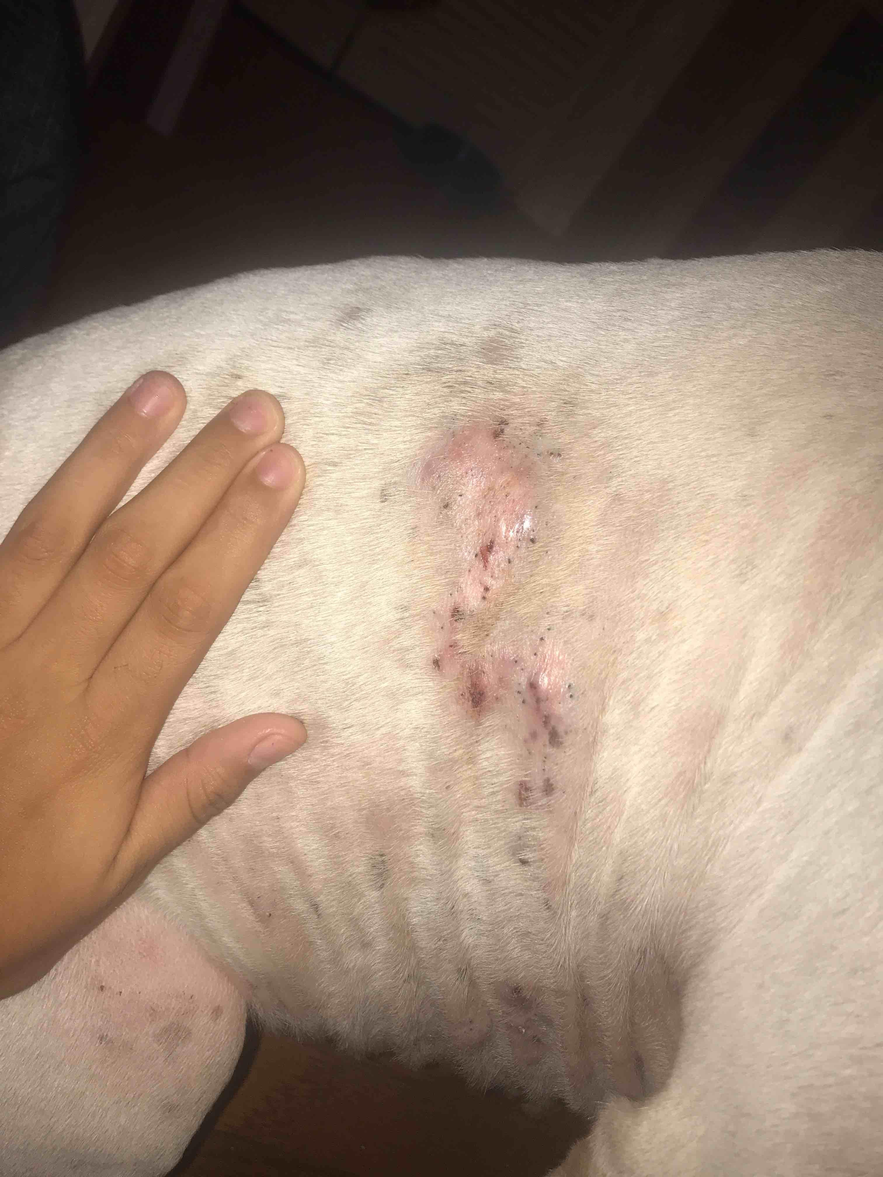 Question details sensitive content