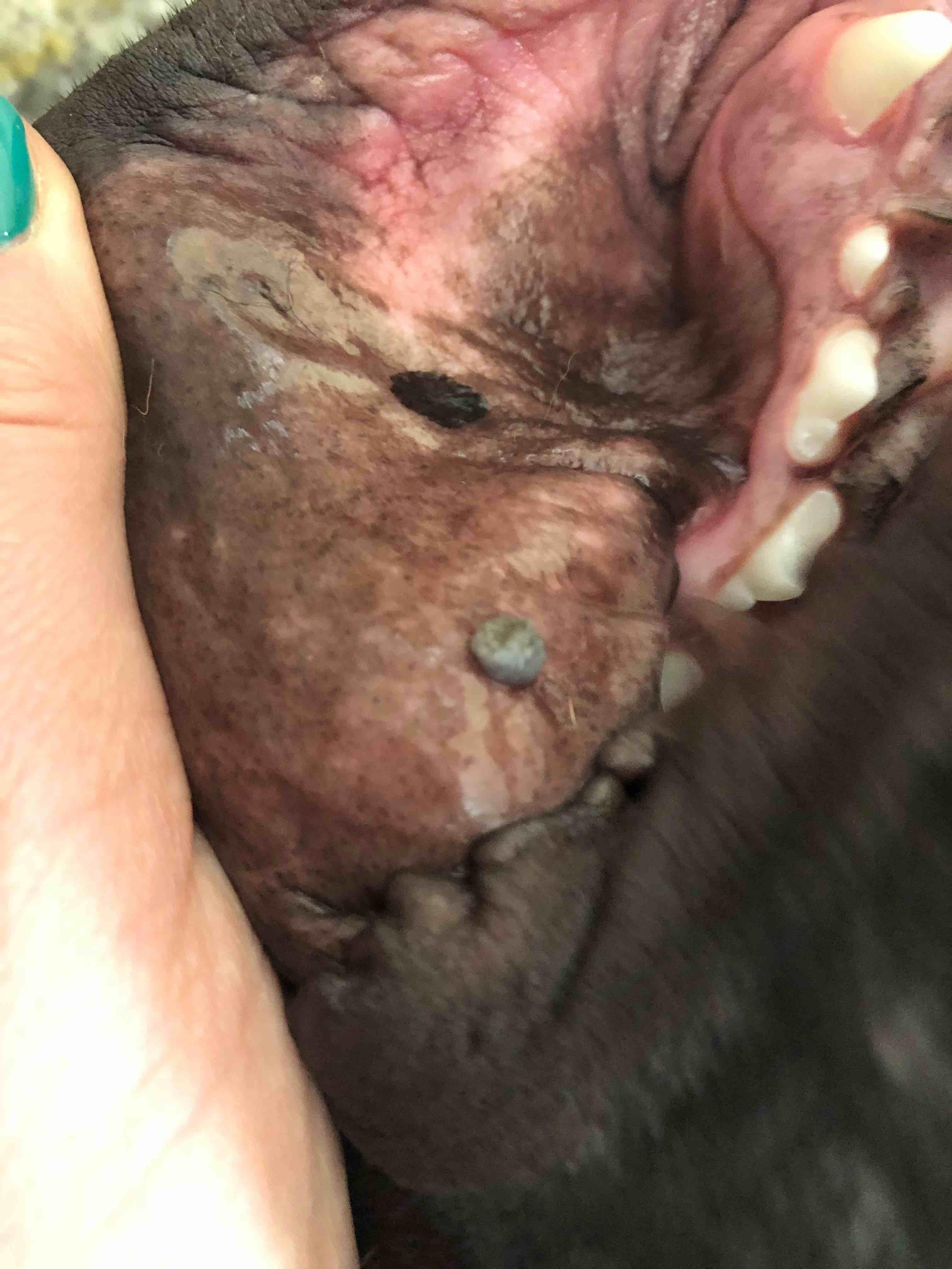 Question details sensitive content