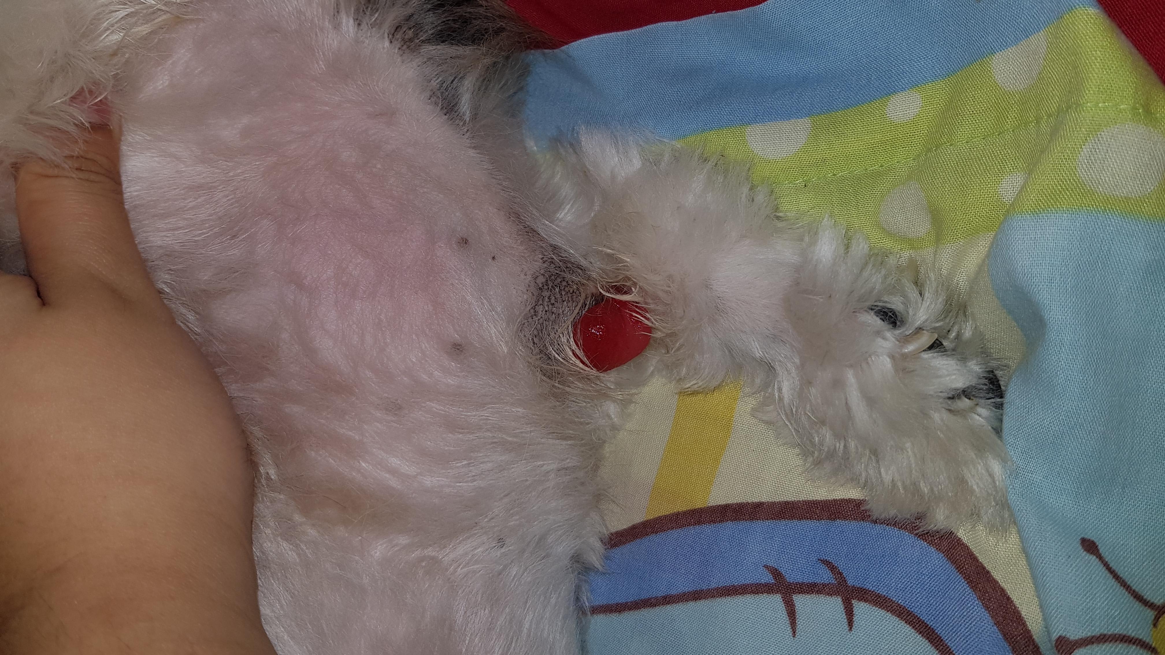 Question details sensitive content