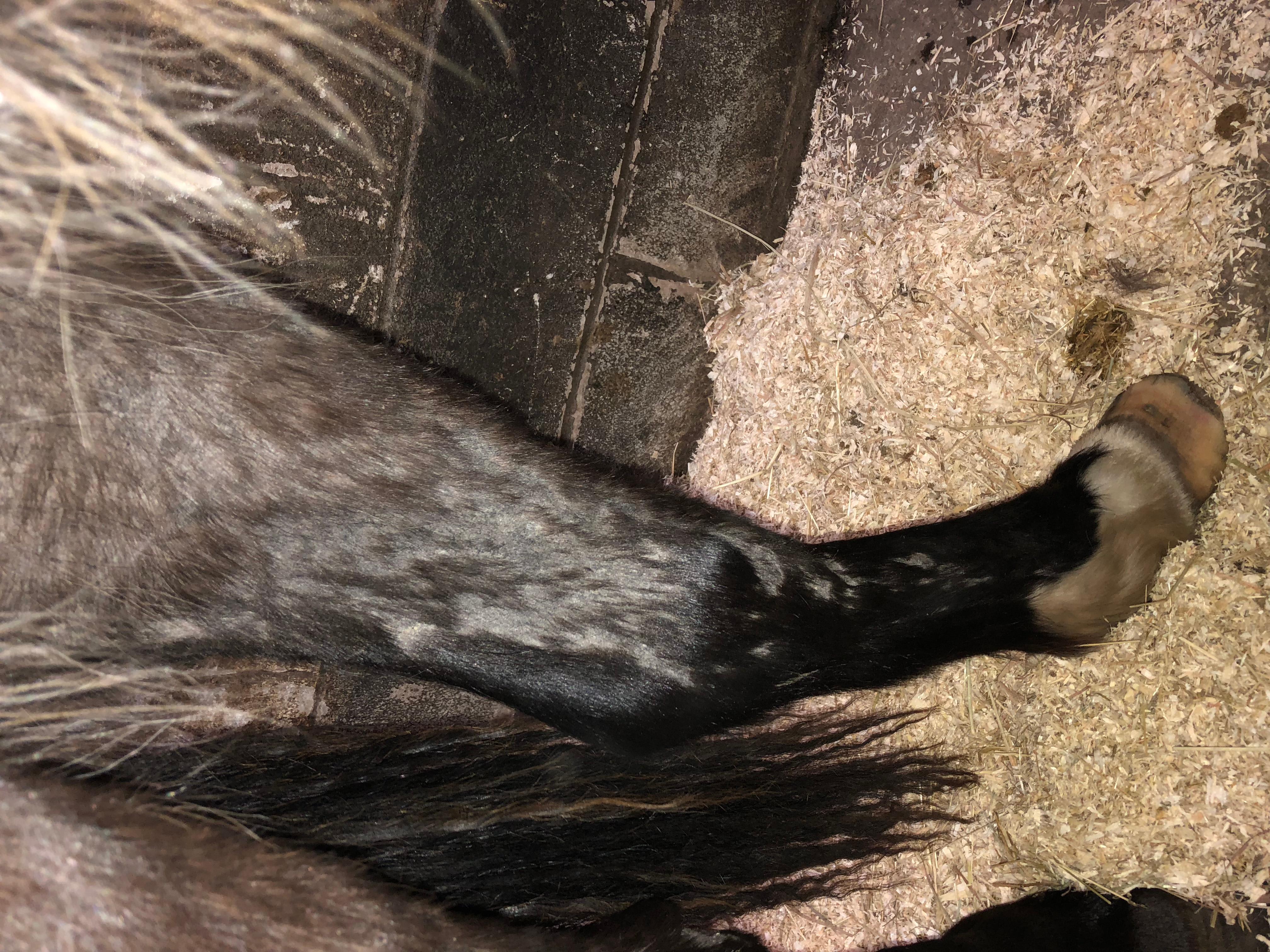 Question details sensitive content