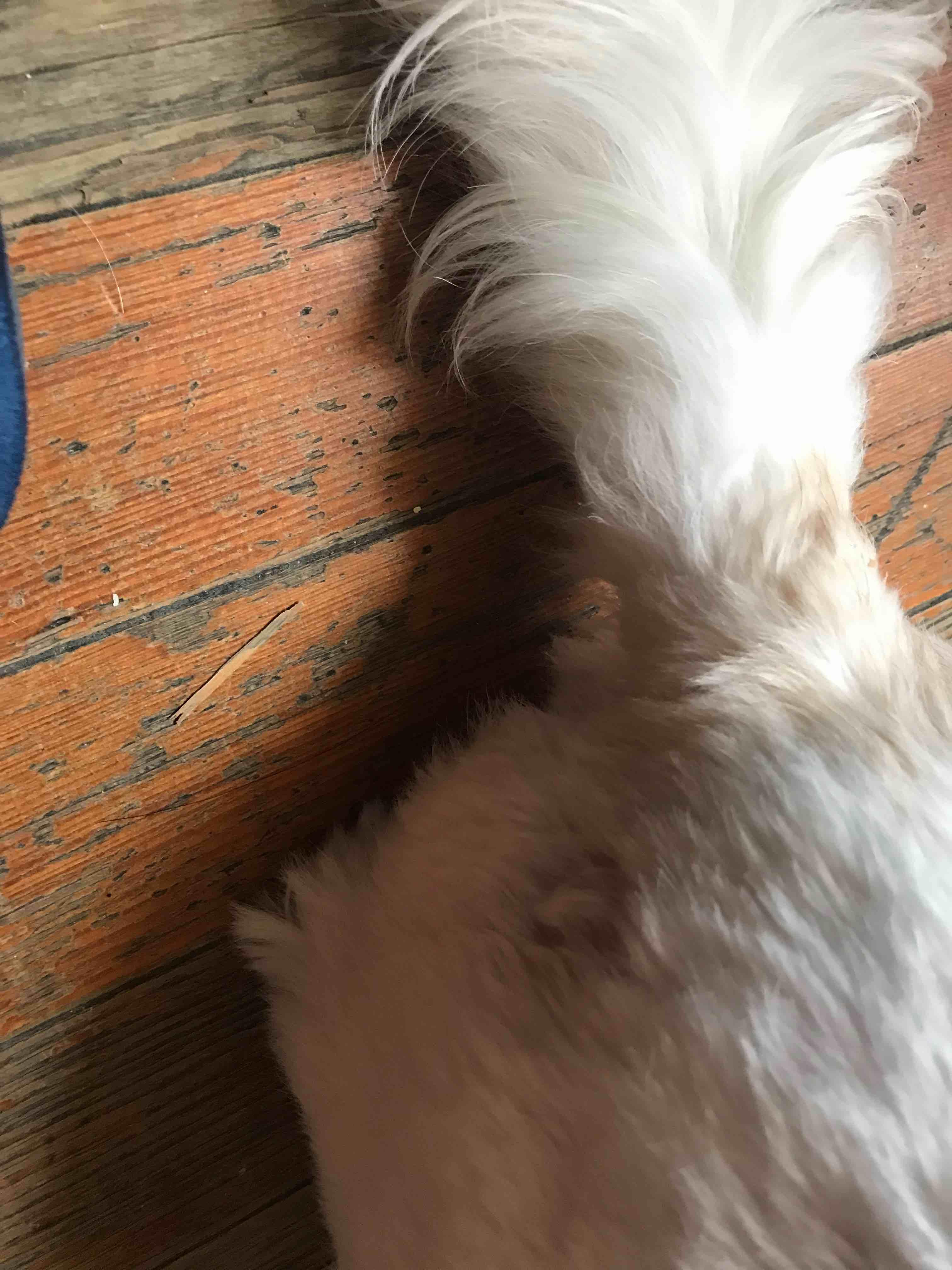 Question details sensitive content